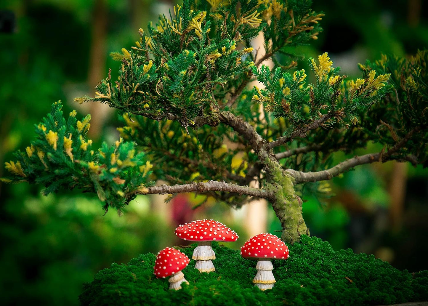 Mini Mushroom Figurines / Fairy Garden Miniatures