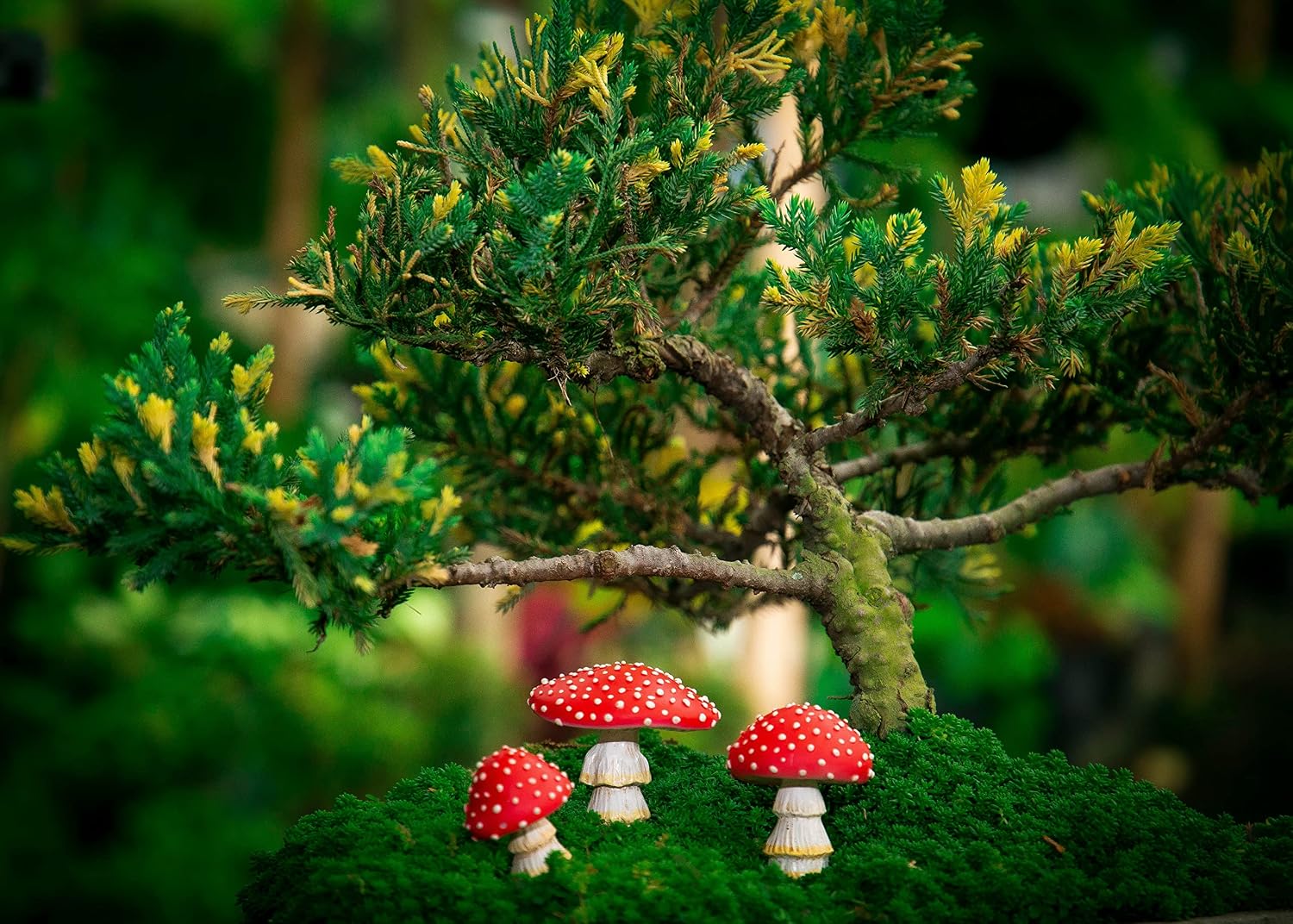 Mini Mushroom Figurines / Fairy Garden Miniatures