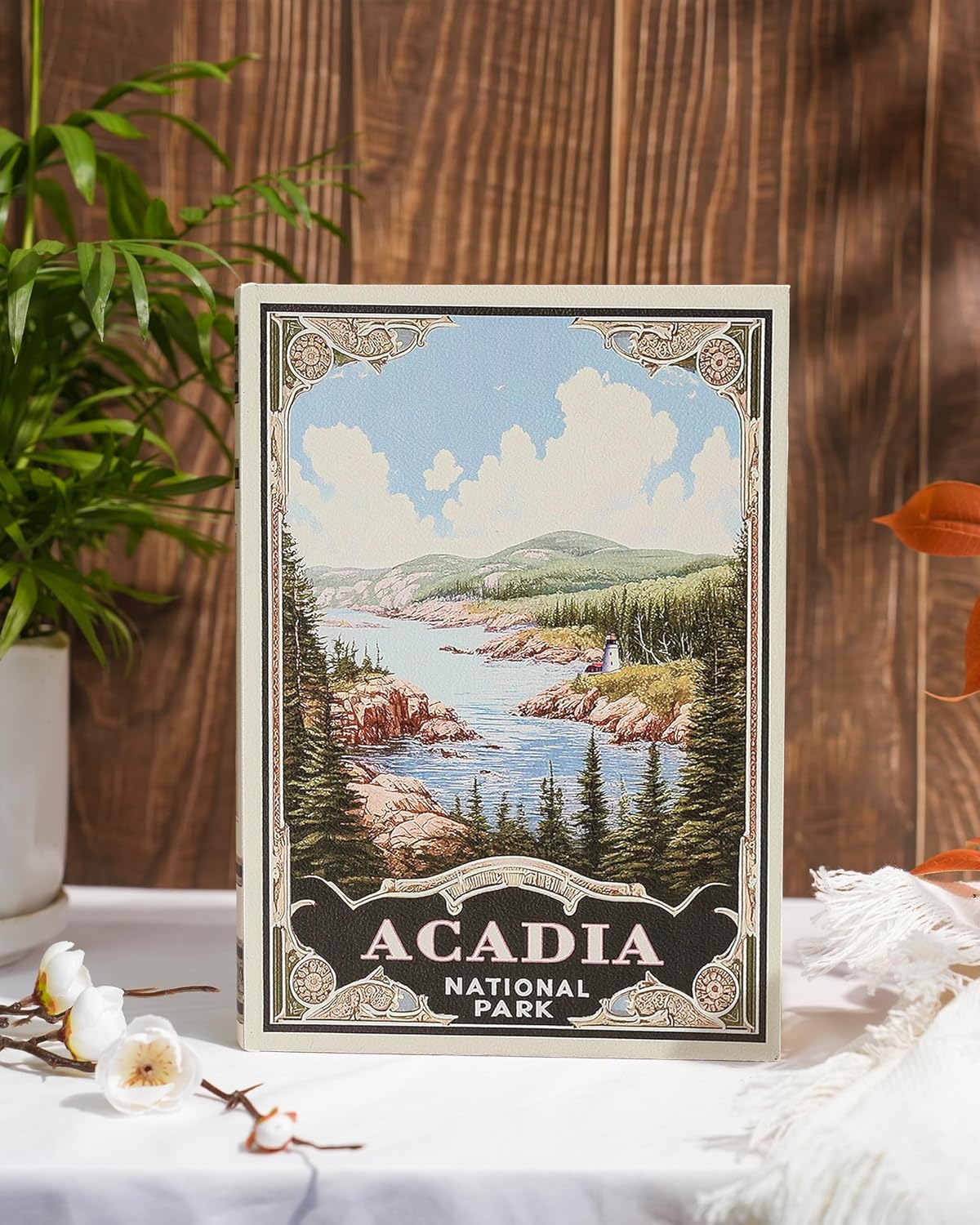 Vintage Faux Book Boxes / ACADIA