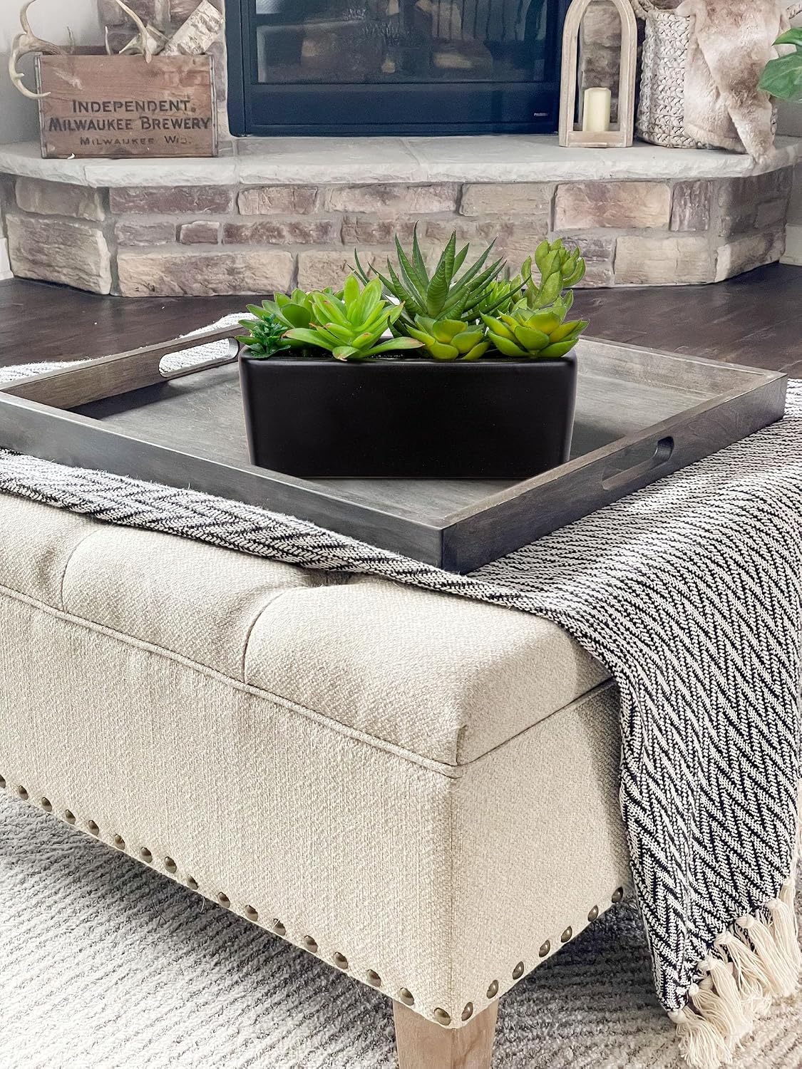 Artificial Succulents Plants in Ceramic Planter Assorted Faux Succulents in Pots / Black