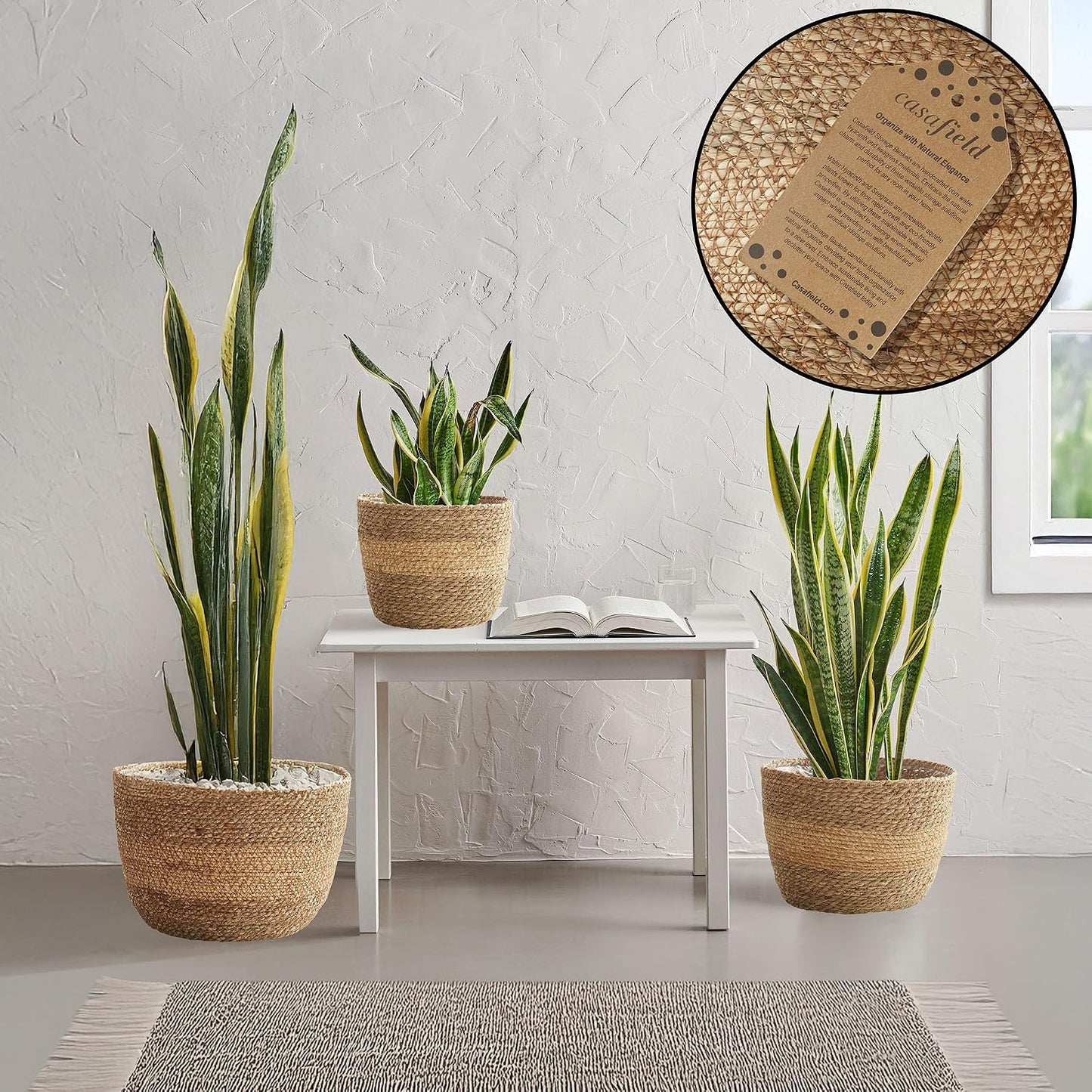 Seagrass Planter Baskets / Two-tone / Set of 3