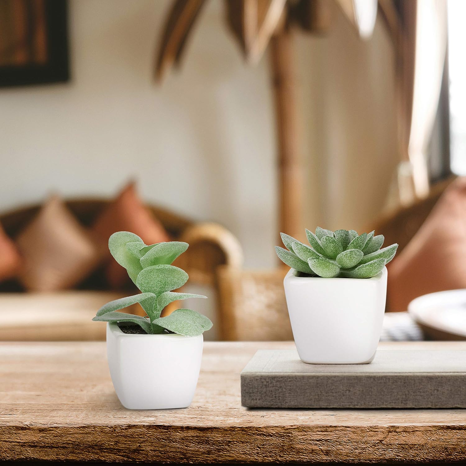 Mini Assorted Decorative Artificial Succulent Plants in Square / Assortment #3 / Green / Set of 4