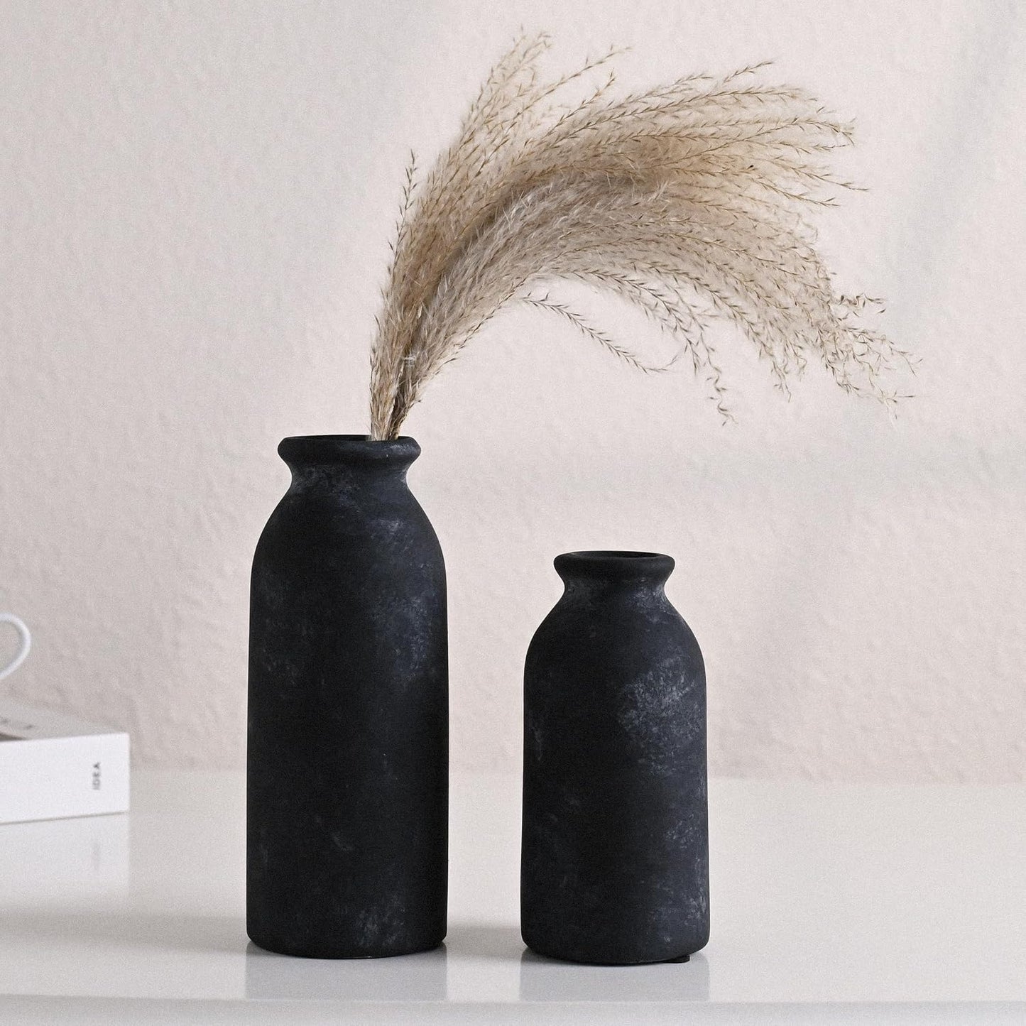 Ceramic Vases Home Decor / Black / Set of 2