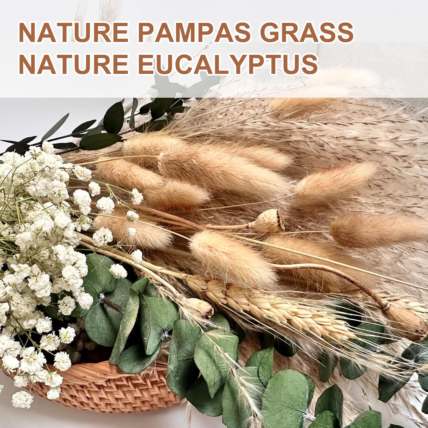 Pampas Grass Dried Flower Bouquet for Boho Home Decor / Natural