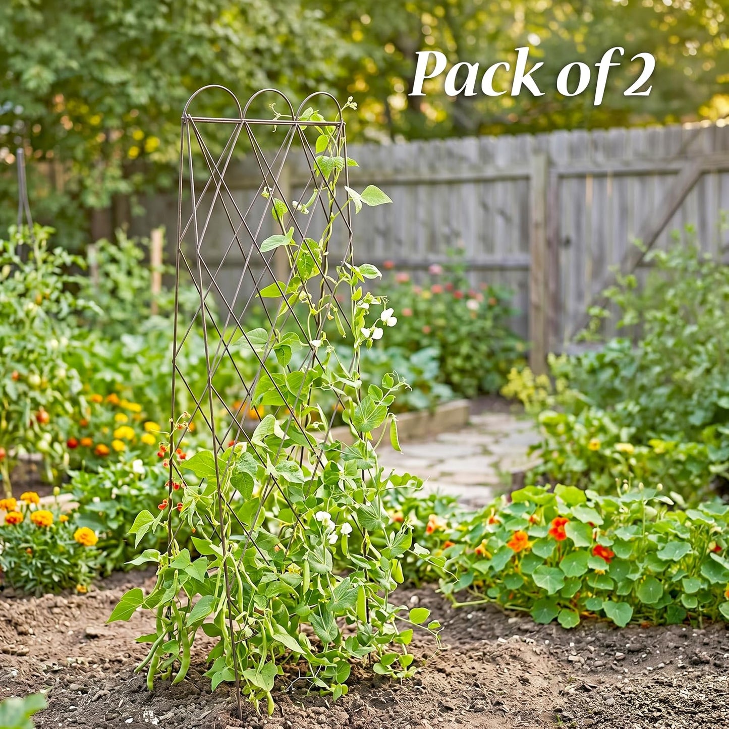 Set of 2 Panacea 90140 Rustic Heirloom Folding Trellises, 60" Tall A-Frame