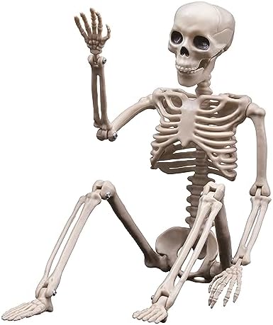 Halloween Skeletons Decorations, 16" Posable Plastic Skeleton 5 Packs, Full Body Skeleton Bulk with Movable Joints, Realistic Spooky Scary Skeletons for Outdoor Indoor Halloween Party Haunted House