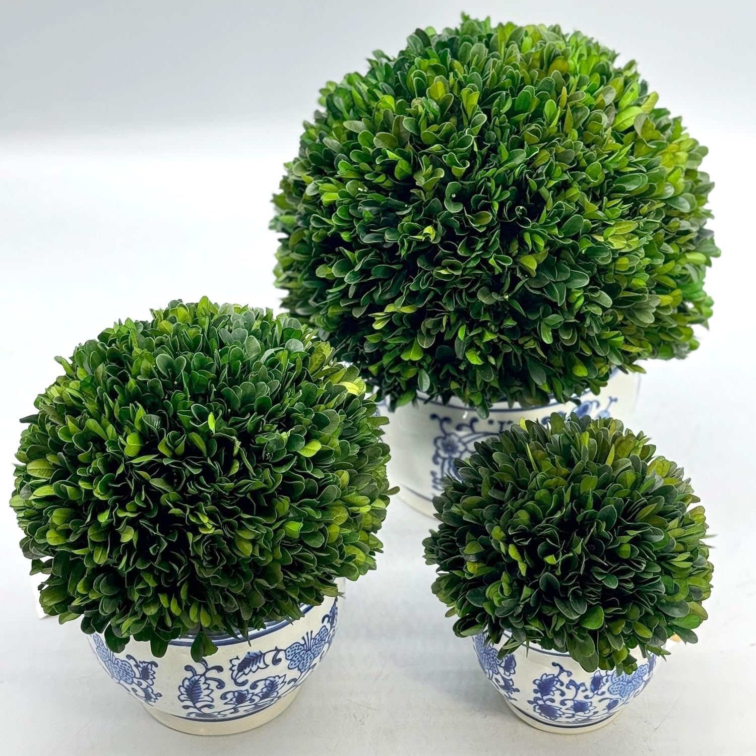 7" Naturally Preserved Real Boxwood Ball in Hand-Painted & White Round / Small 7" Round Pot / Blue