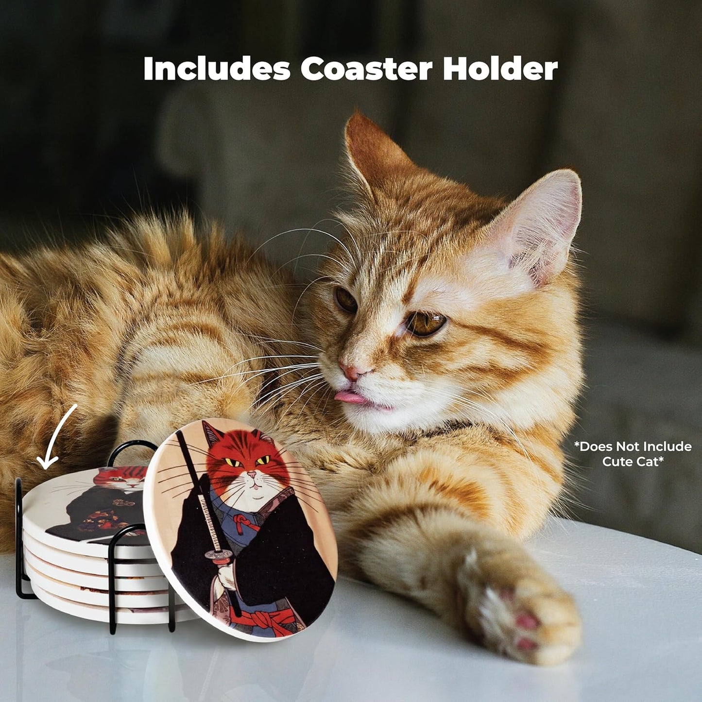 Holder / Anime Cat Decor / Set of 6