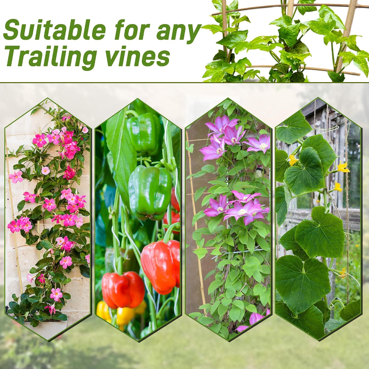 Avalution 10 Pack Bamboo Trellis for Climbing Plants, 2 FT Garden Ladder Trellis for Potted Plants Indoor, Fan-Shaped