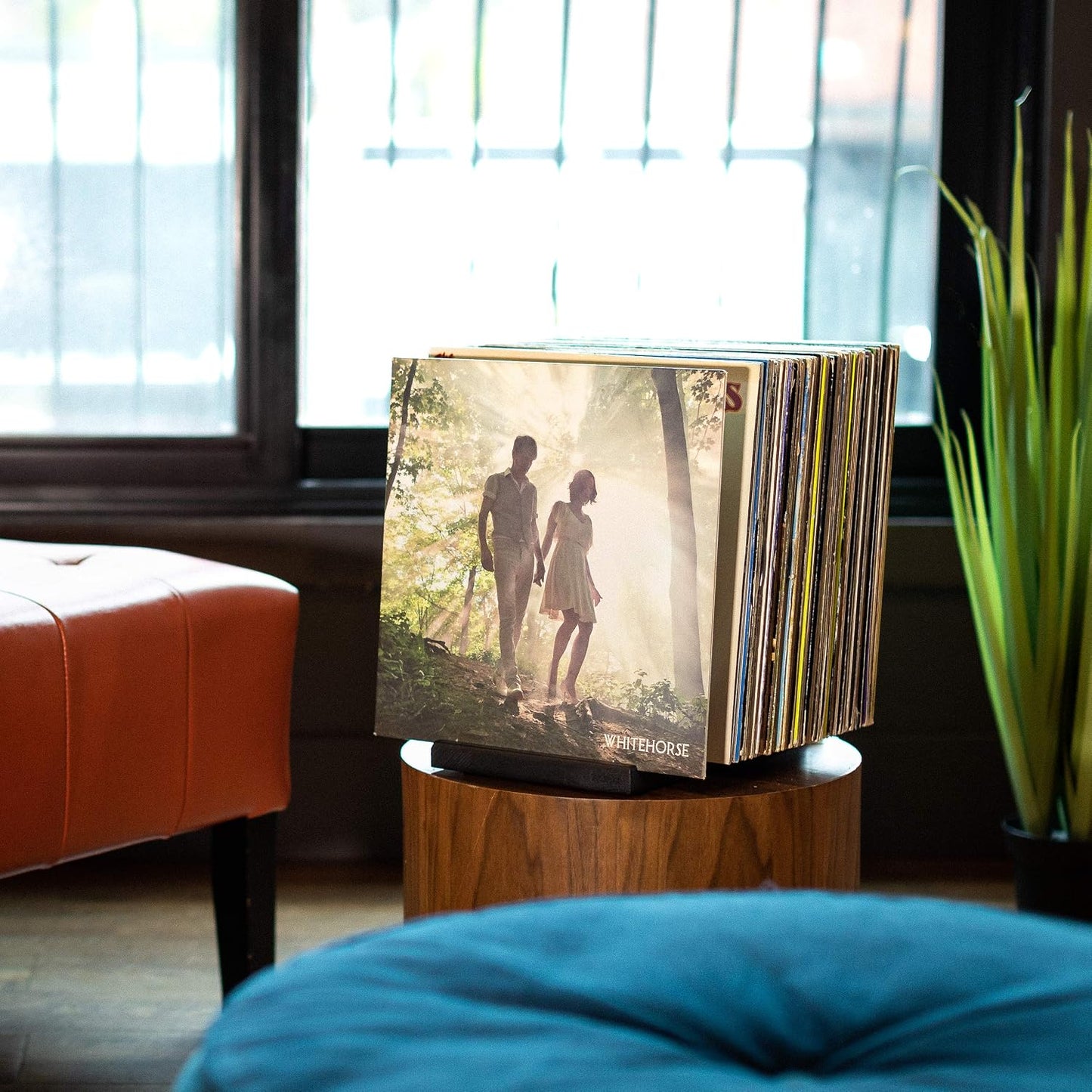 Premium Vinyl Record Holder - a Mid-Century Style Record Holder for Albums, 50-60 LP Capacity - with a Now-Playing
