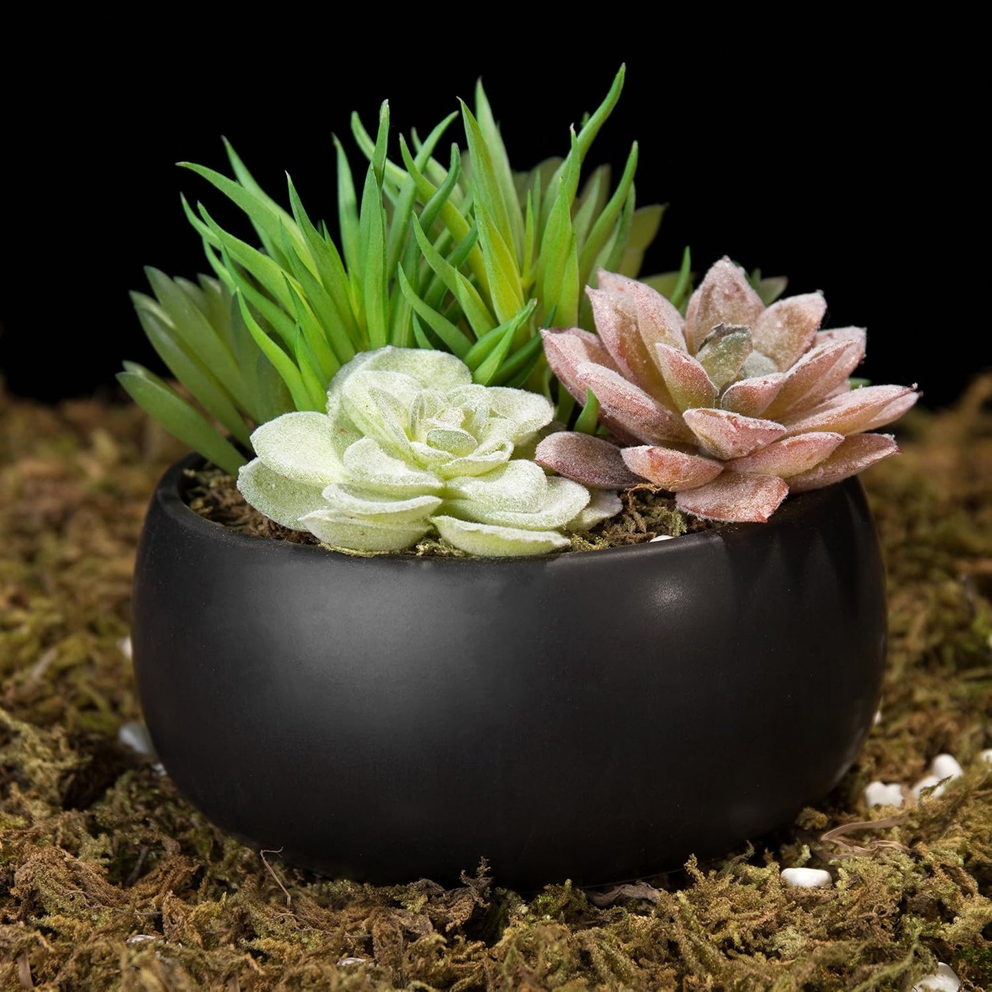 Fake Plant Arrangement in Ceramic Planter Bowl / Black