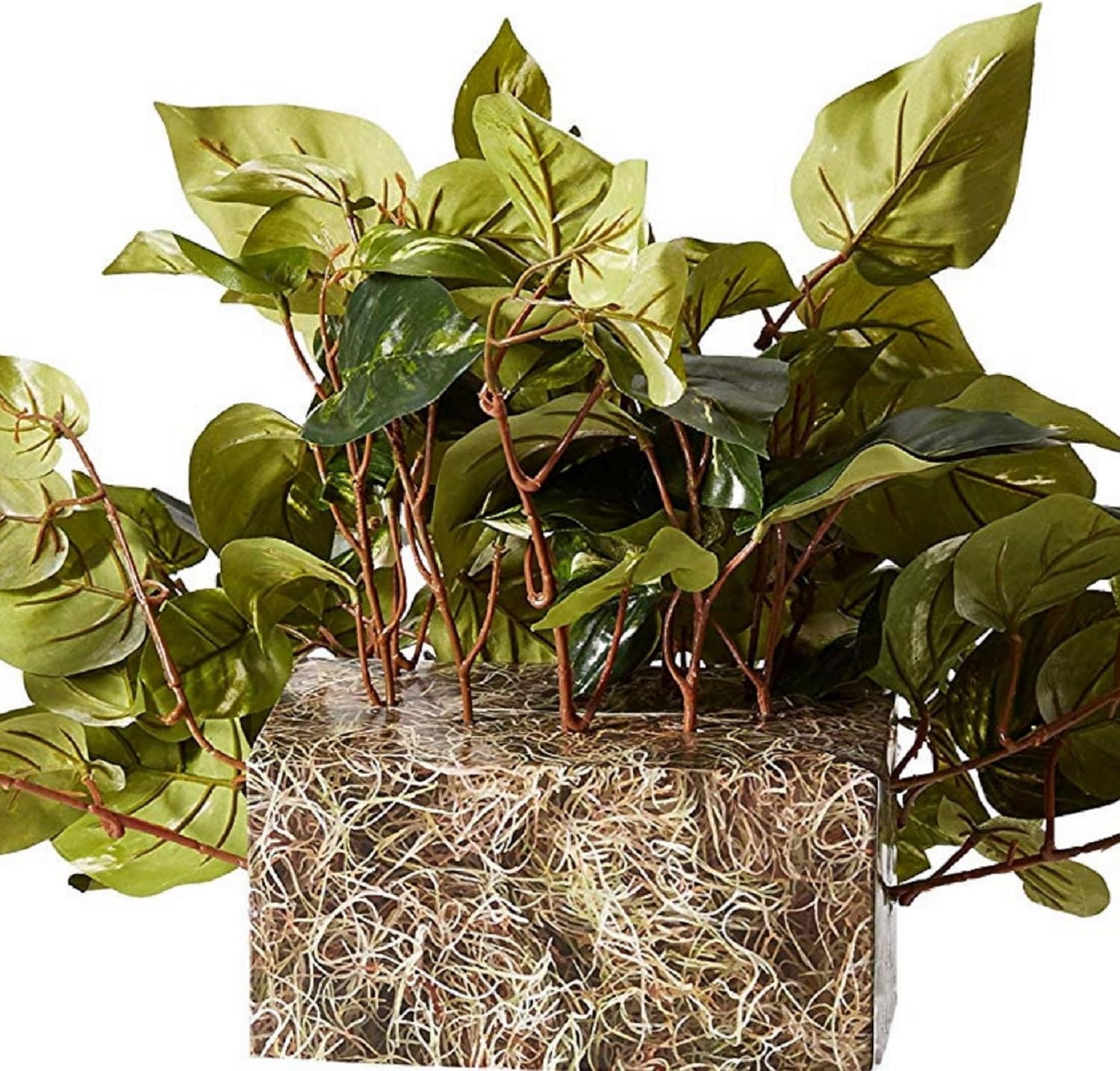 . Pothos Ledge Plant Silk Plant / Green / 15 Inch