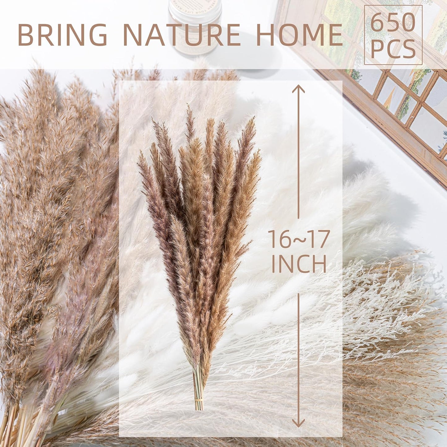 Dried Pampas Grass Boho Home Decor Bouquet Phragmites Dried Flowers Bouquet / Natural / Set of 650