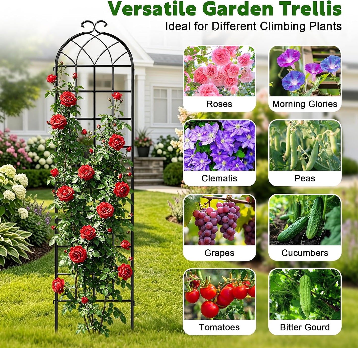 82.7 x 40in Rustic Iron Arch Decoration Garden Trellis with Black Metal Coating – Perfect for Supporting Climbing