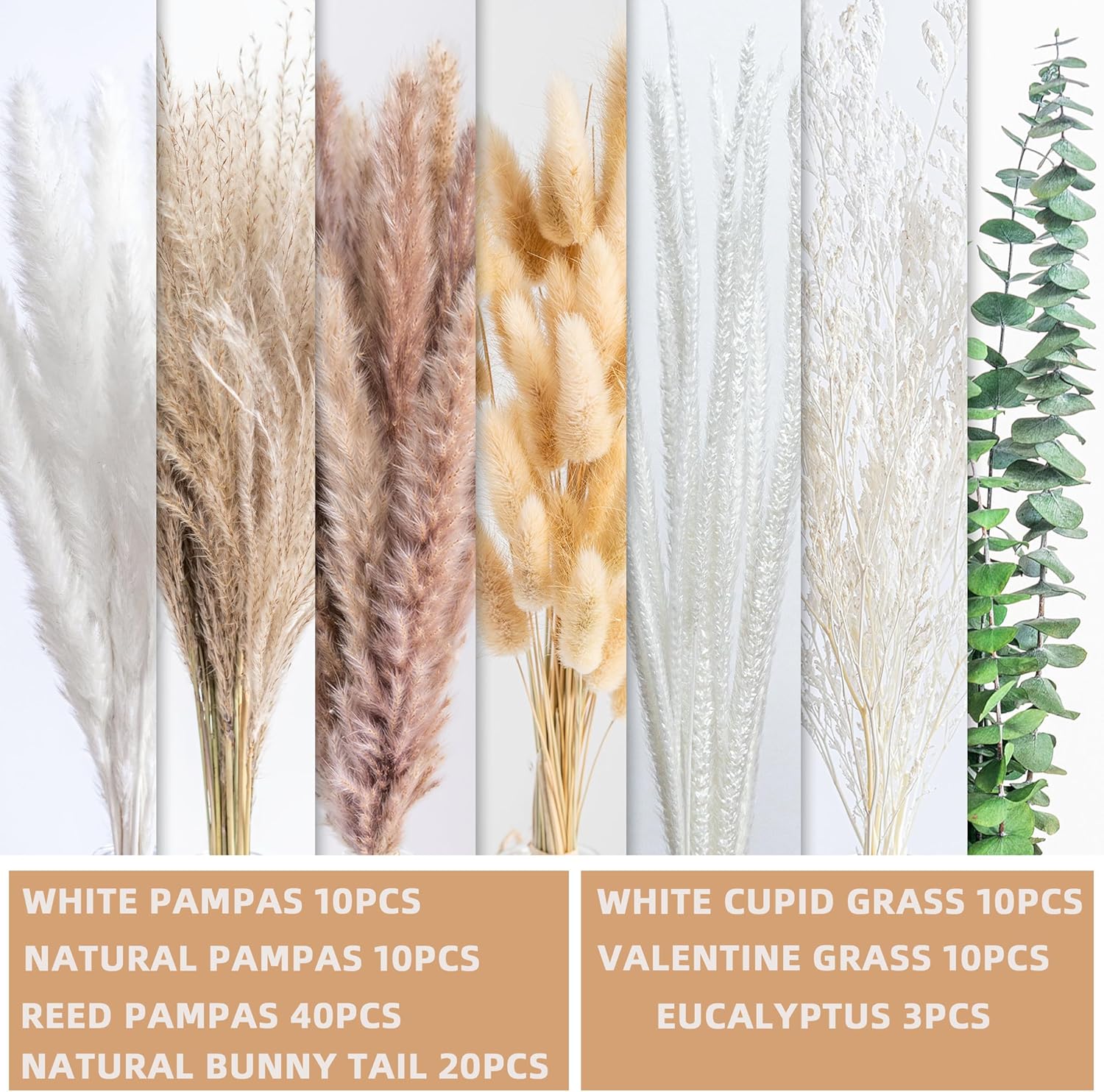 7Kinds Dried Flowers / Fd-01