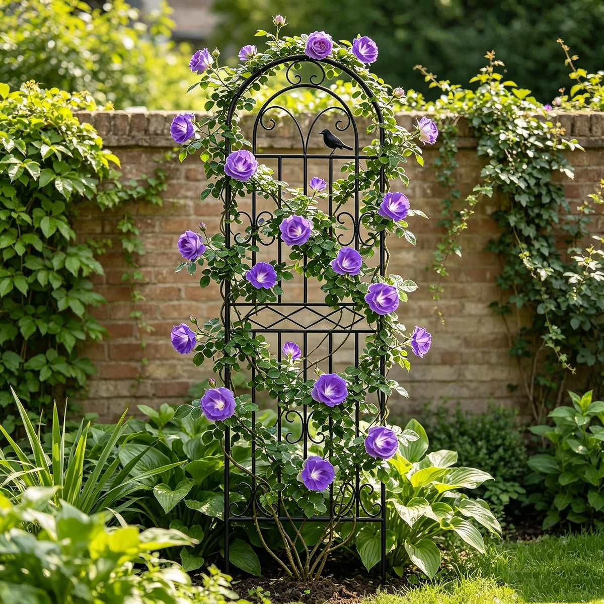 2 Pack 70.8"x19.7" Metal Gardon Trellis for Climbing Plants Outdoor, | Rustproof, Heavy Duty, Black Coating Gardon