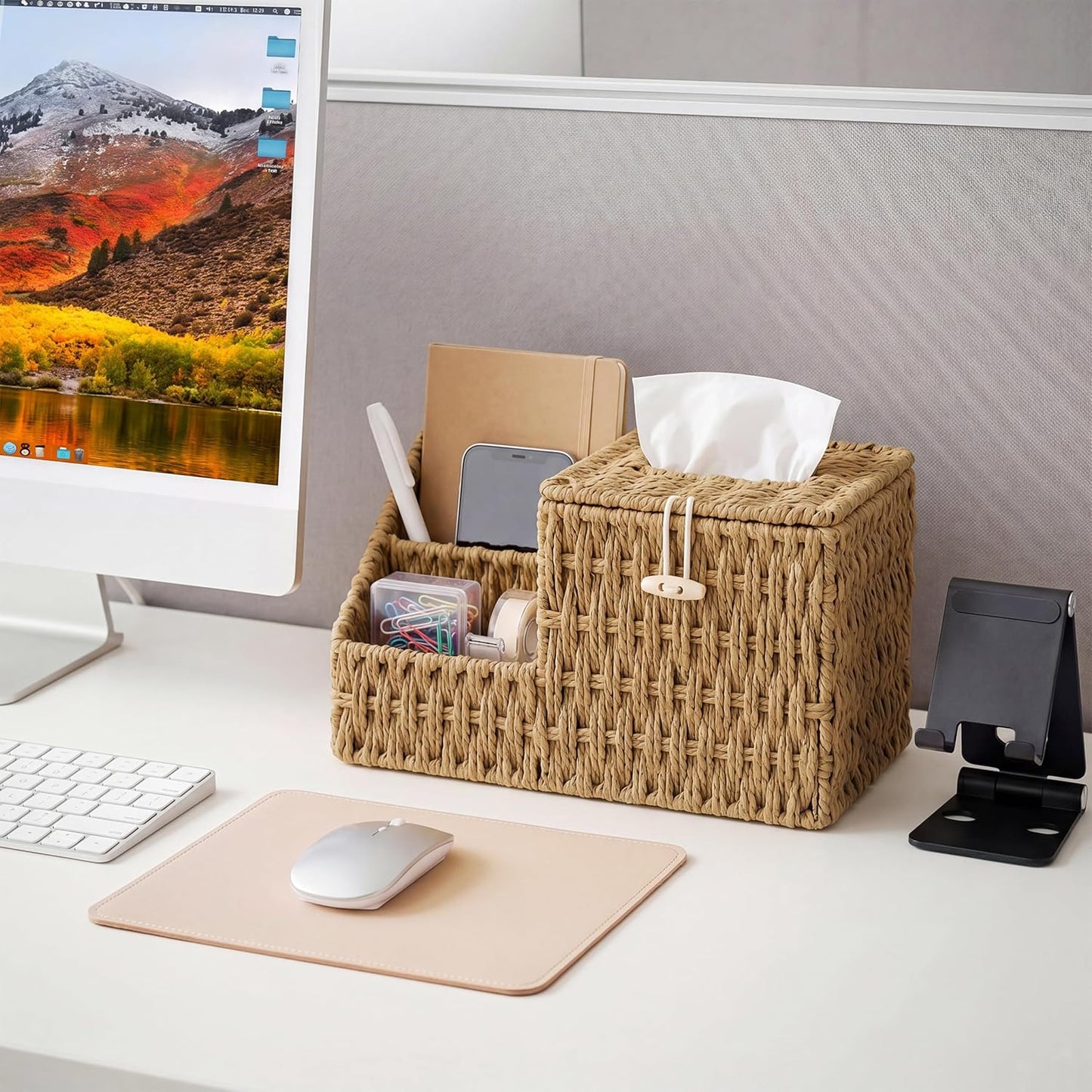 Tissue Remote Control Holder / Natural