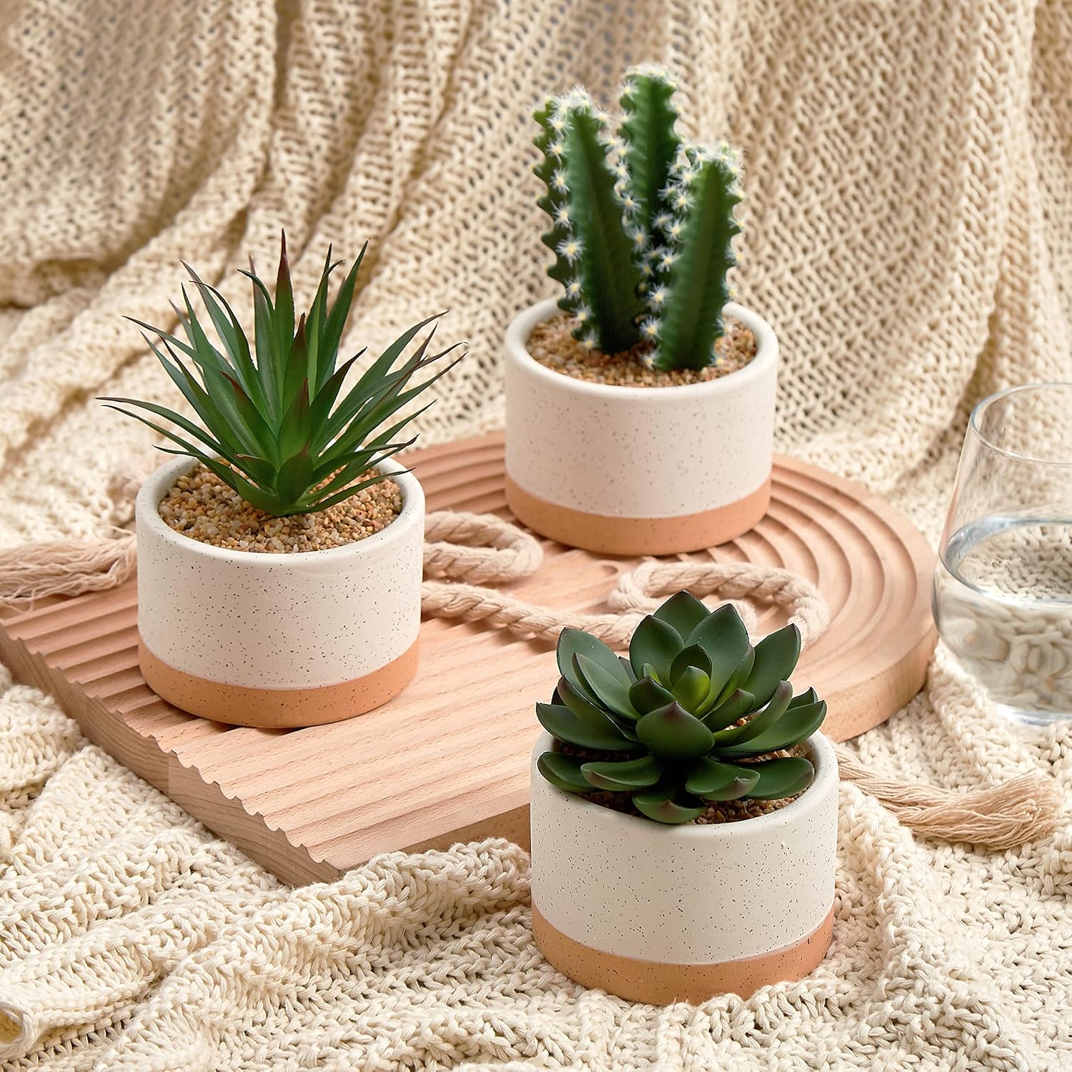 Artificial Succulent Plants in Ceramic Pots / Burlywood