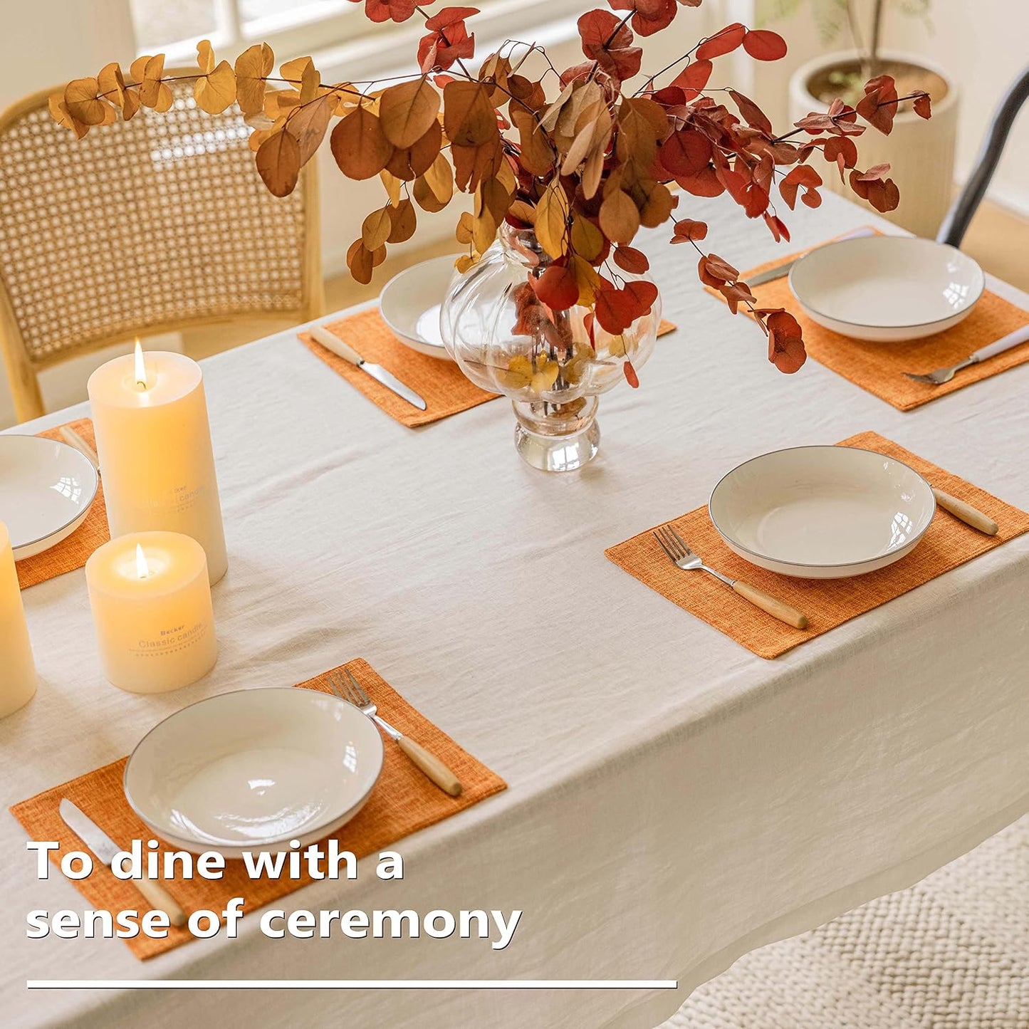 Home Brilliant Cloth Placemats Set of 6 Heat Resistant Dining Table Place Mats for Kitchen Table Party Decorations