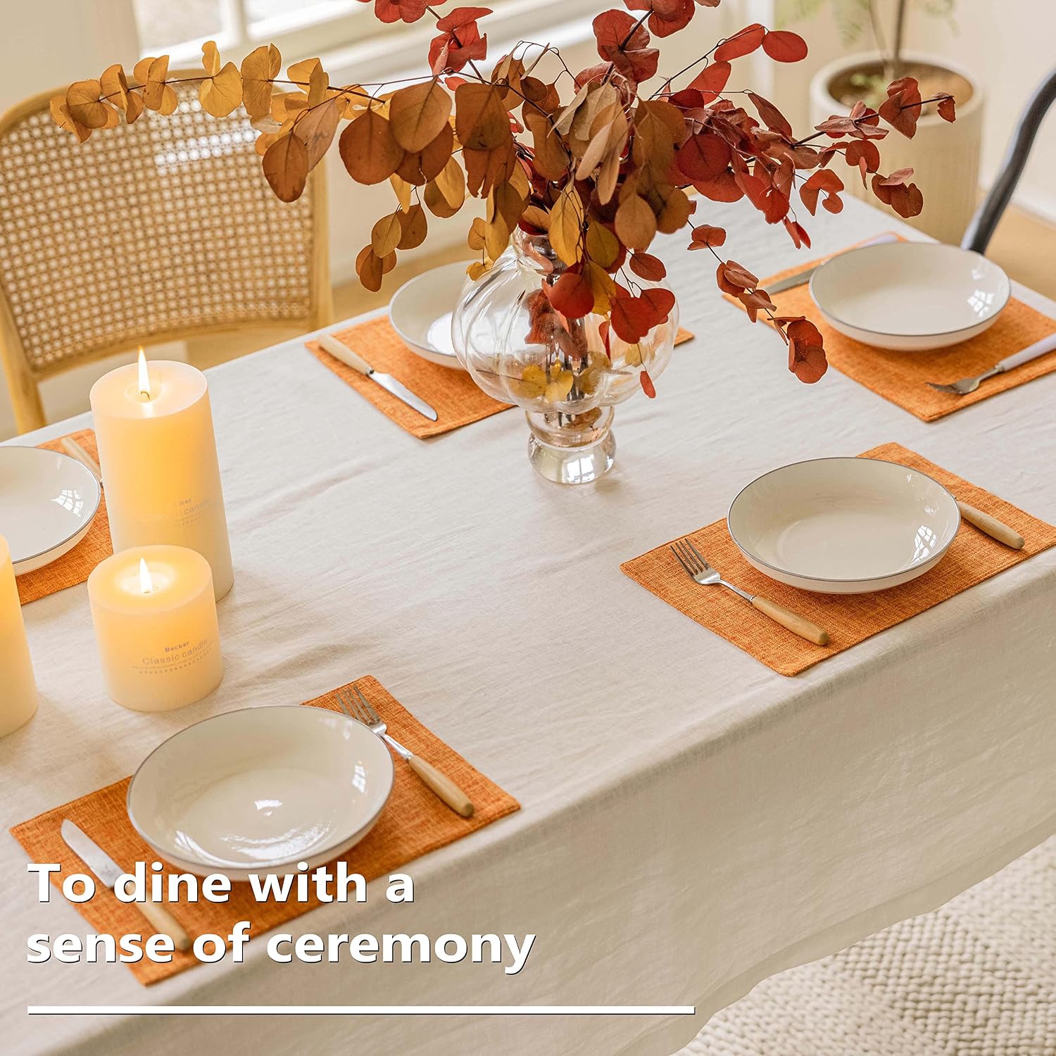 Home Brilliant Cloth Placemats Set of 6 Heat Resistant Dining Table Place Mats for Kitchen Table Party Decorations