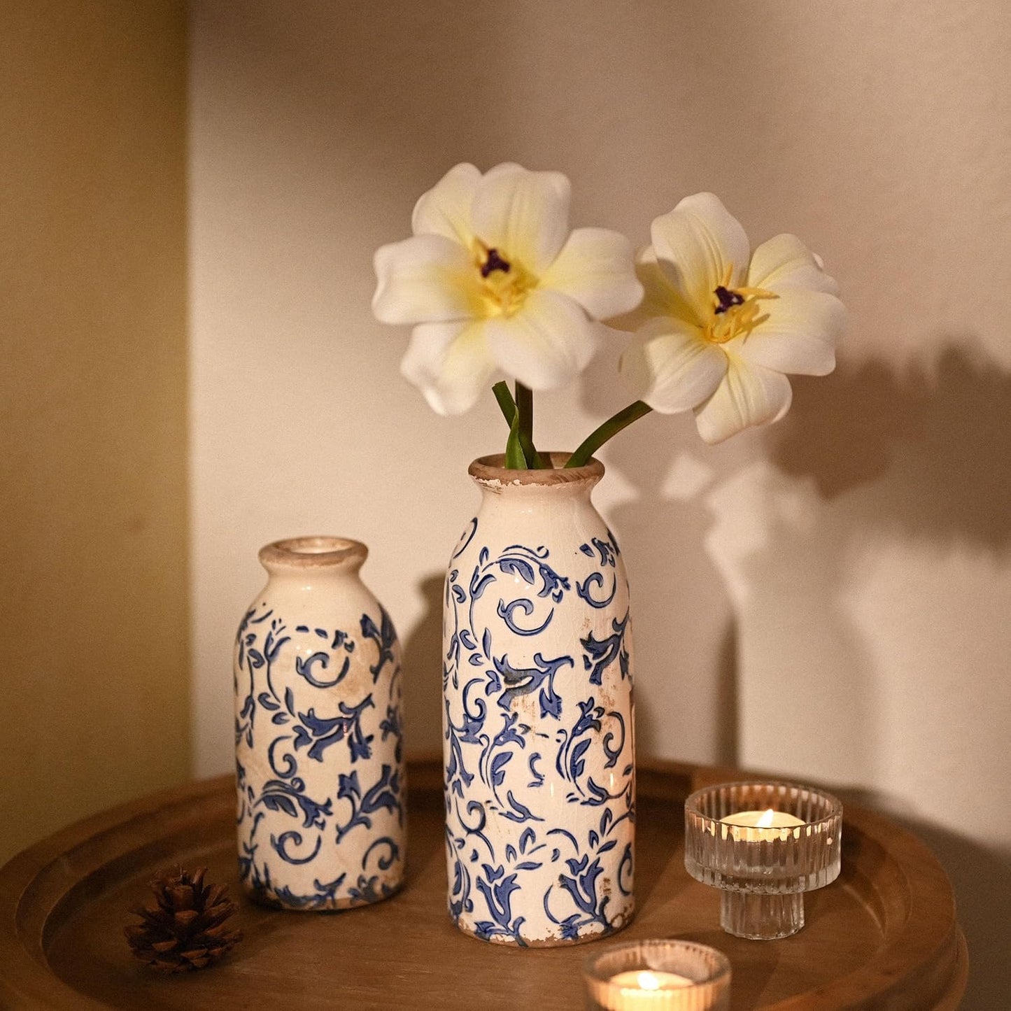 Ceramic Vases Home Decor / Blue and White / Set of 2