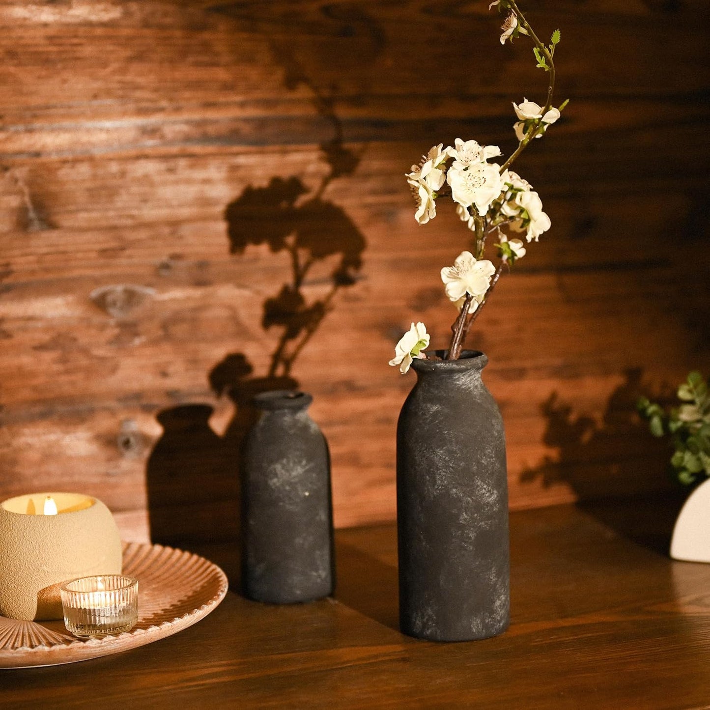 Ceramic Vases Home Decor / Black / Set of 2