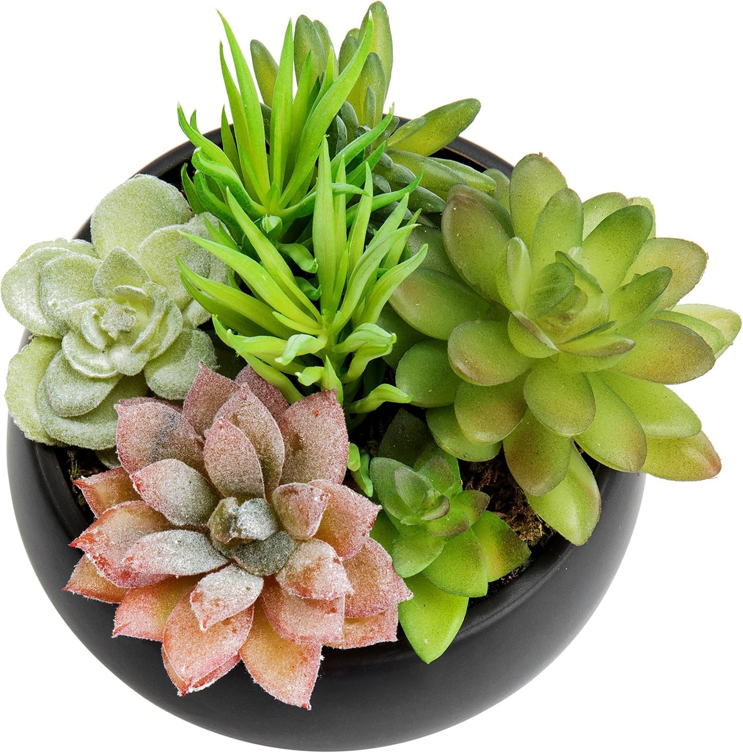 Fake Plant Arrangement in Ceramic Planter Bowl / Black