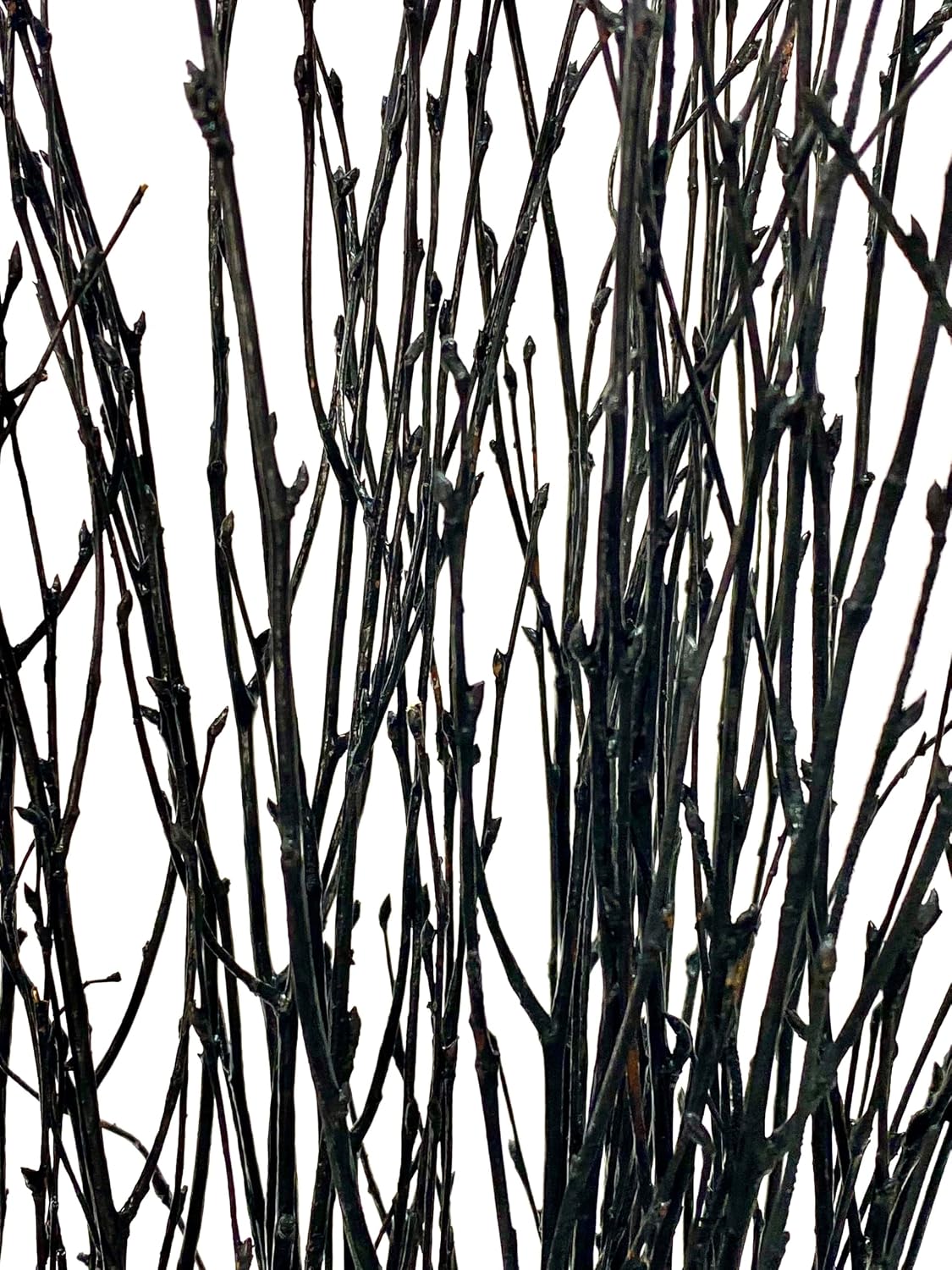 Birch Branches / Long for Floor vases / 25 Psc - Black / Set of 20