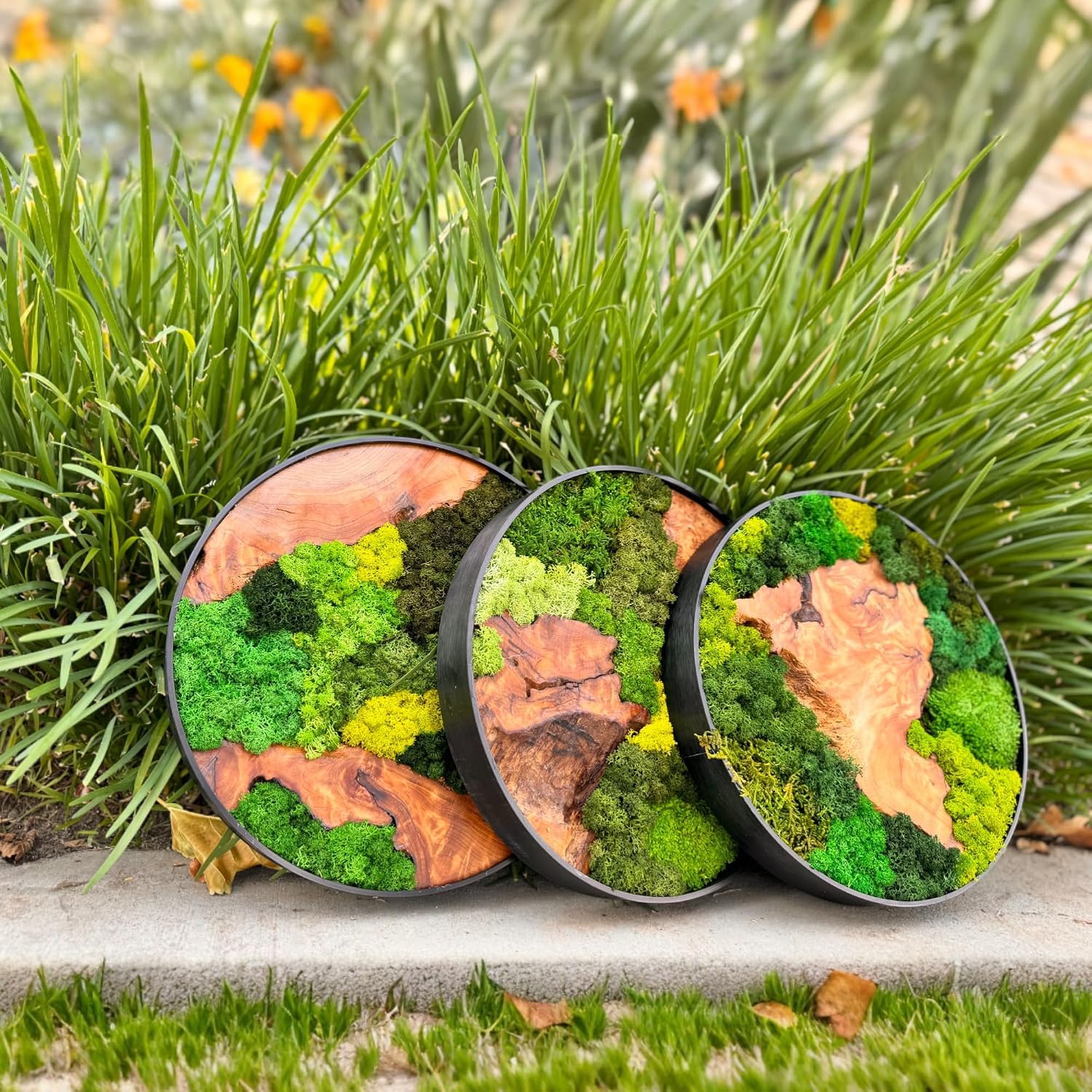 Unique No-Maintenance Decor / Round/green / 12"L x 12"W / Scattered