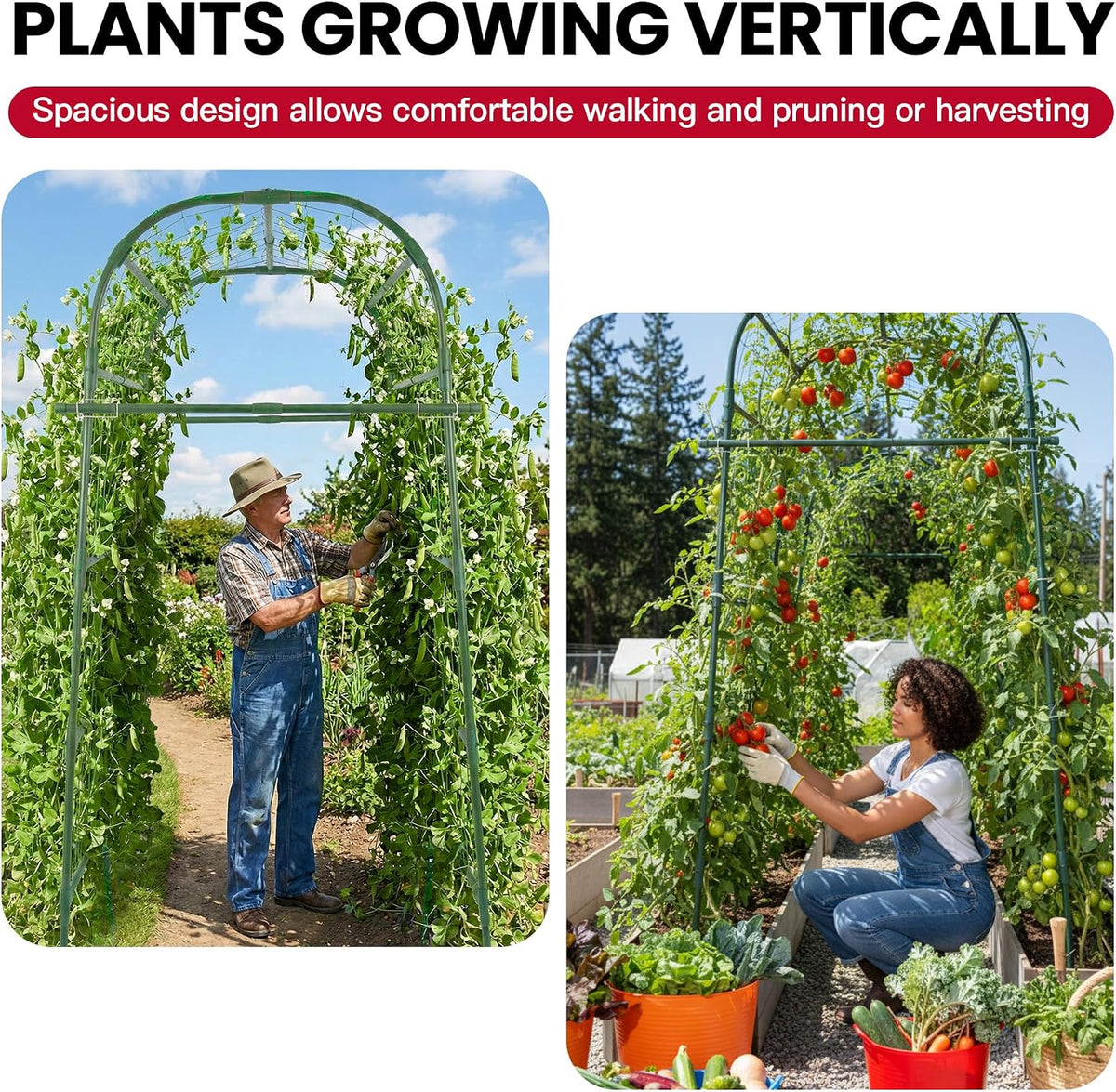 Garden Arch Trellis for Climbing Plants Outdoor, 7 Ft Tall Cucumber Trellis | Cucumber Trellis for Raised Bed, Metal