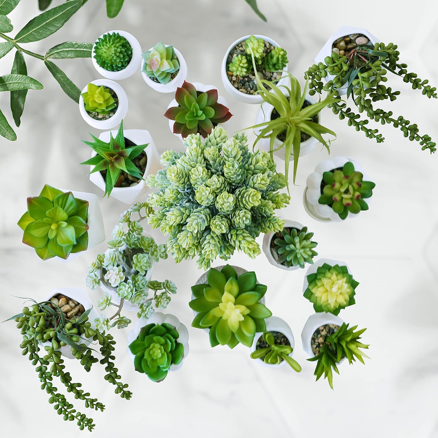 Assorted Artificial Succulents Plants Unpotted Small Aloe Hops Cactus String / Green / Set of 19