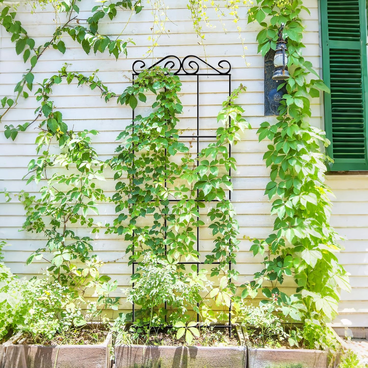 ARIFARO 4Pack 47'' Metal Garden Trellis for Climbing Plants Outdoor | Thicken Steel Trellis, For Indoor/Outdoor