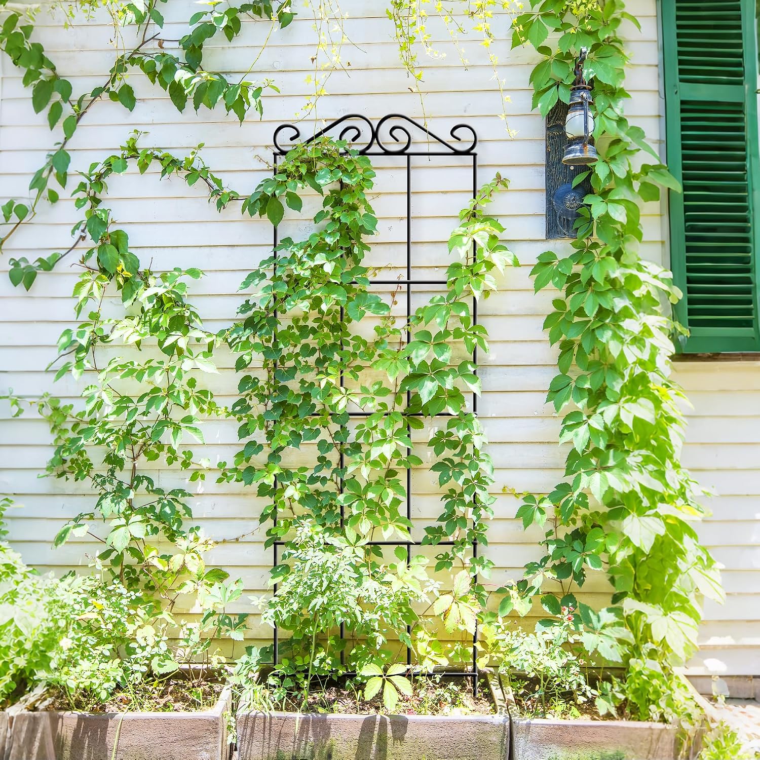 ARIFARO 4Pack 47'' Metal Garden Trellis for Climbing Plants Outdoor | Thicken Steel Trellis, For Indoor/Outdoor