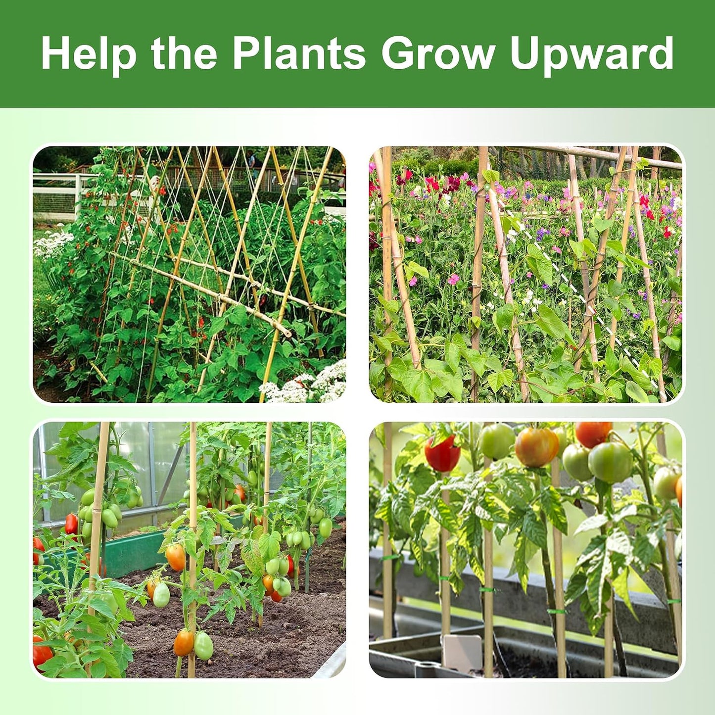 Bamboo Stakes 8FT, 8 Feet Natural Bamboo Plants Stakes, 1" D Thicker Heavy Duty Garden Stakes 10 Pack for Tomatoes