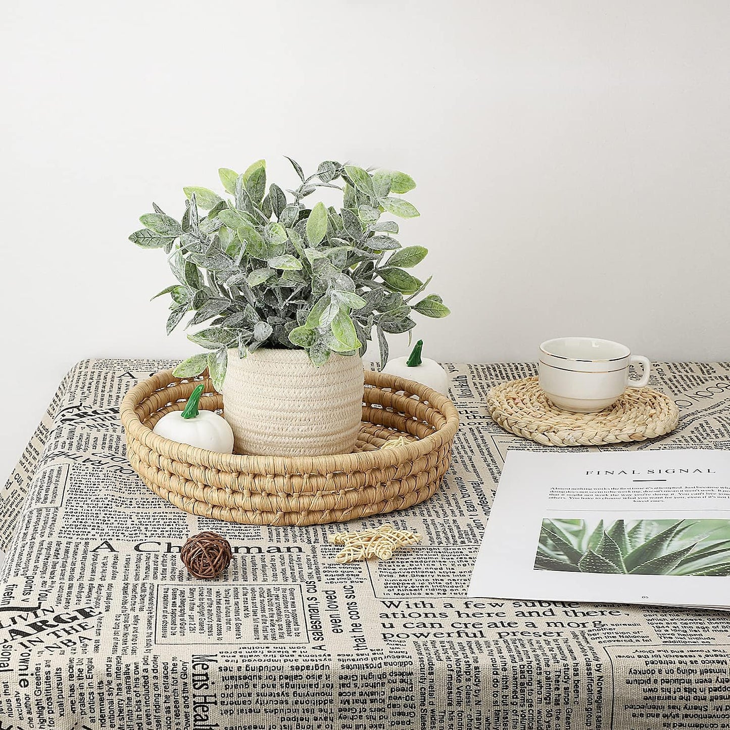 Faux Plants / Decorative Artificial Plants for Farmhouse Desk Shelf Decor / Green Plant Style A
