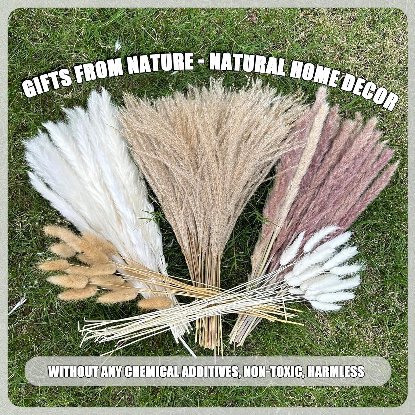 Pampas Grass Boho Home Decor 17- Dried Flowers-Pampas Grass Contains Bunny / Natural / Set of 150