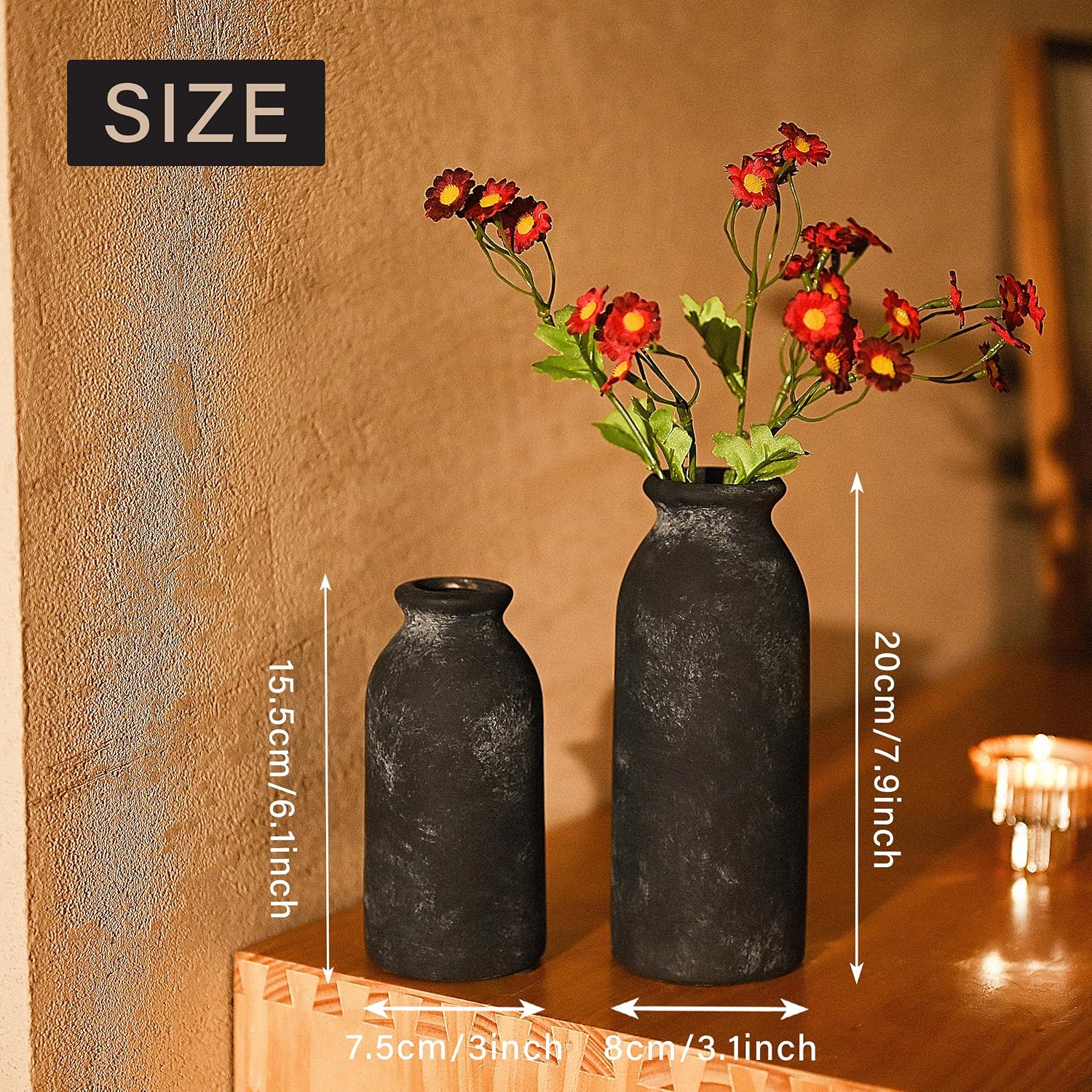 Ceramic Vases Home Decor / Black / Set of 2