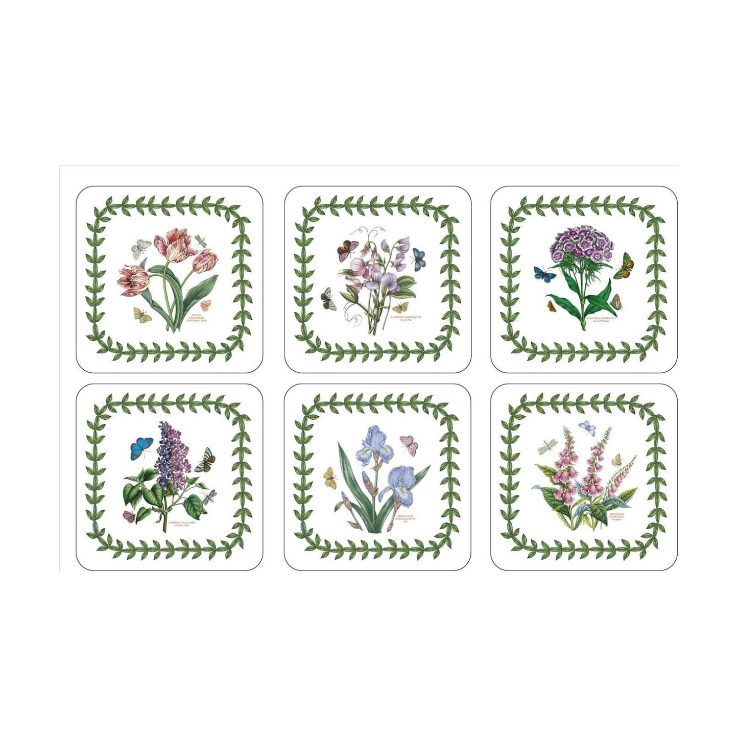 Portmeirion Botanic Garden / Coasters / Set of 6