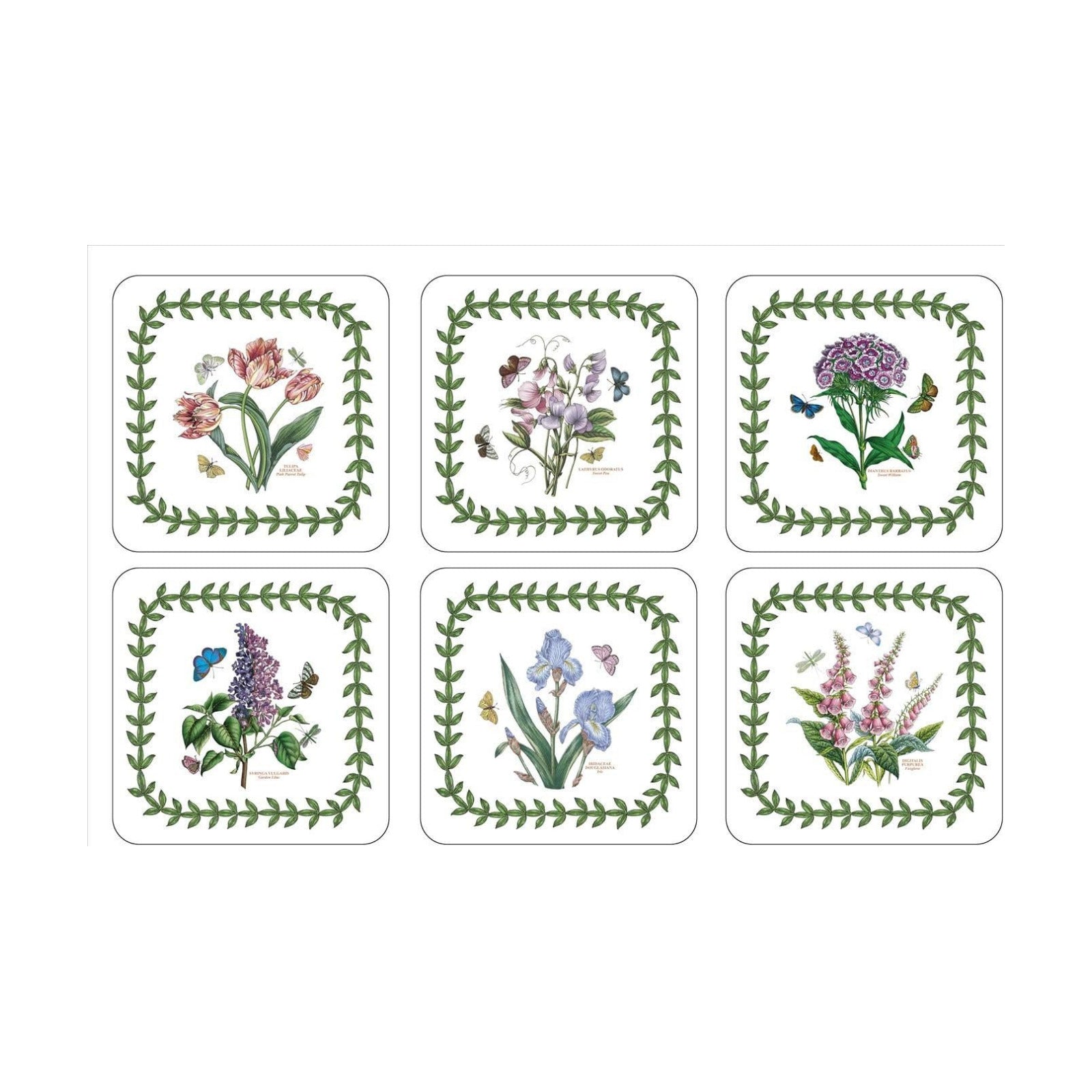 Portmeirion Botanic Garden / Coasters / Set of 6