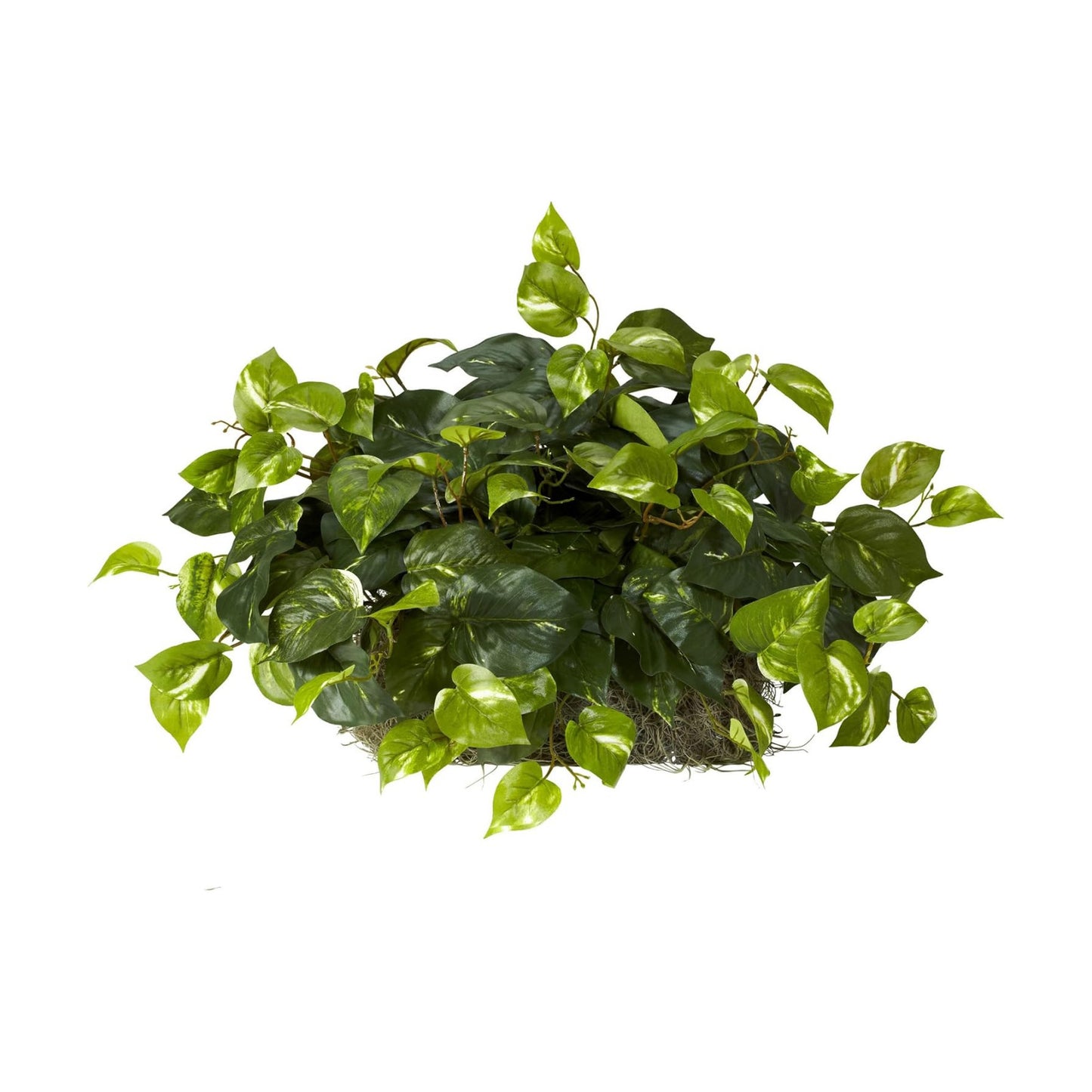 . Pothos Ledge Plant Silk Plant / Green / 15 Inch