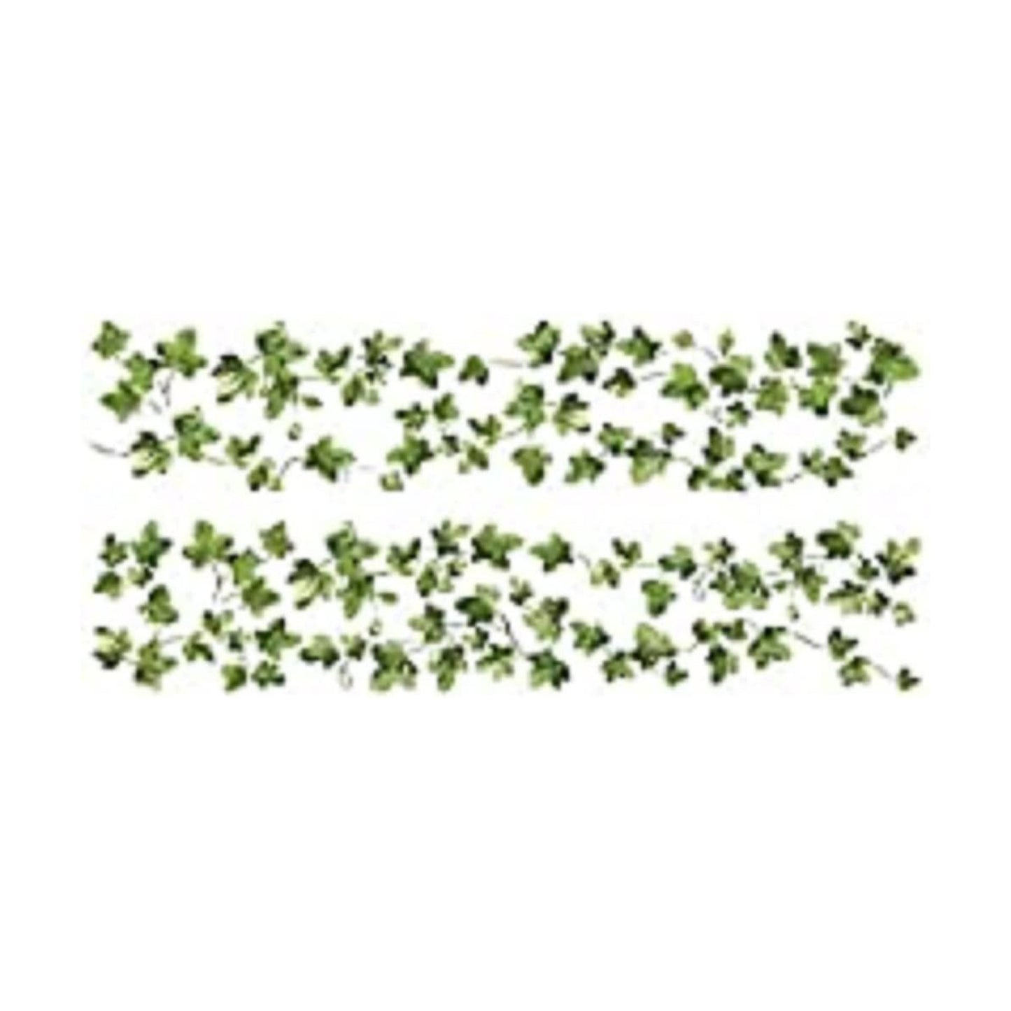 Painterly Ivy Vine Peel and Stick Wall Decals / Green