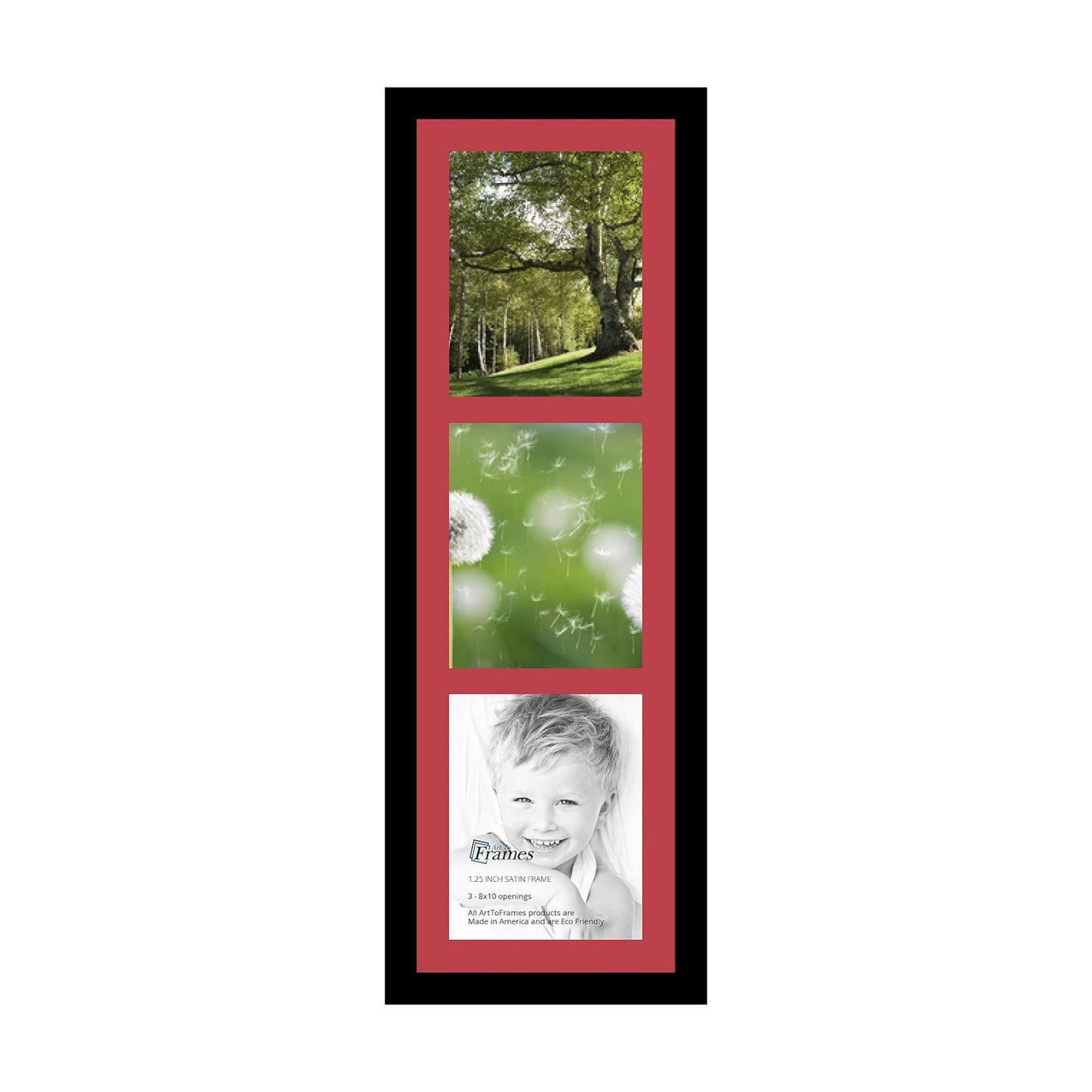 ArtToFrames Collage Photo Frame Single Mat with 3-8x10 Openings with Satin Black Frame and Rouge mat.