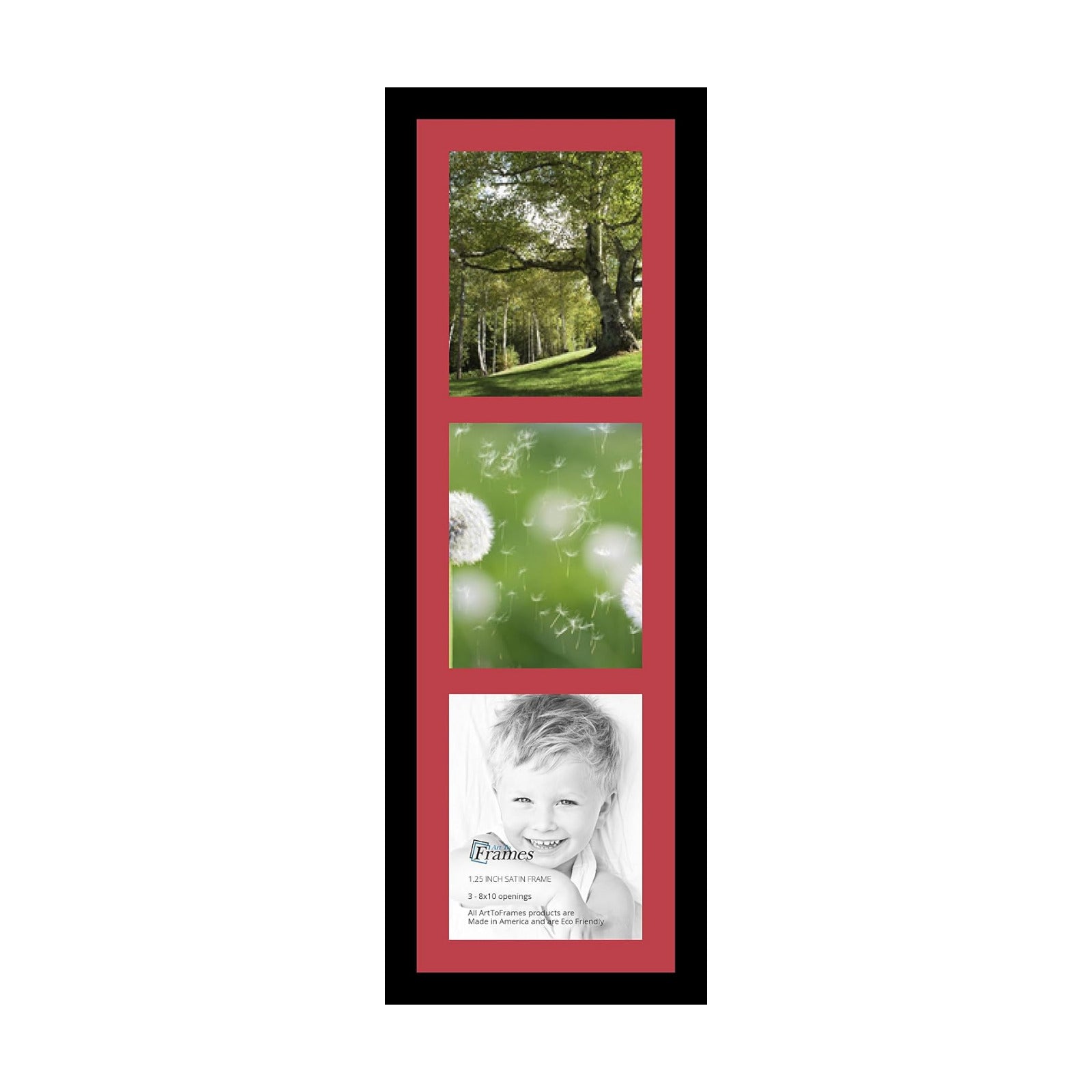 ArtToFrames Collage Photo Frame Single Mat with 3-8x10 Openings with Satin Black Frame and Rouge mat.