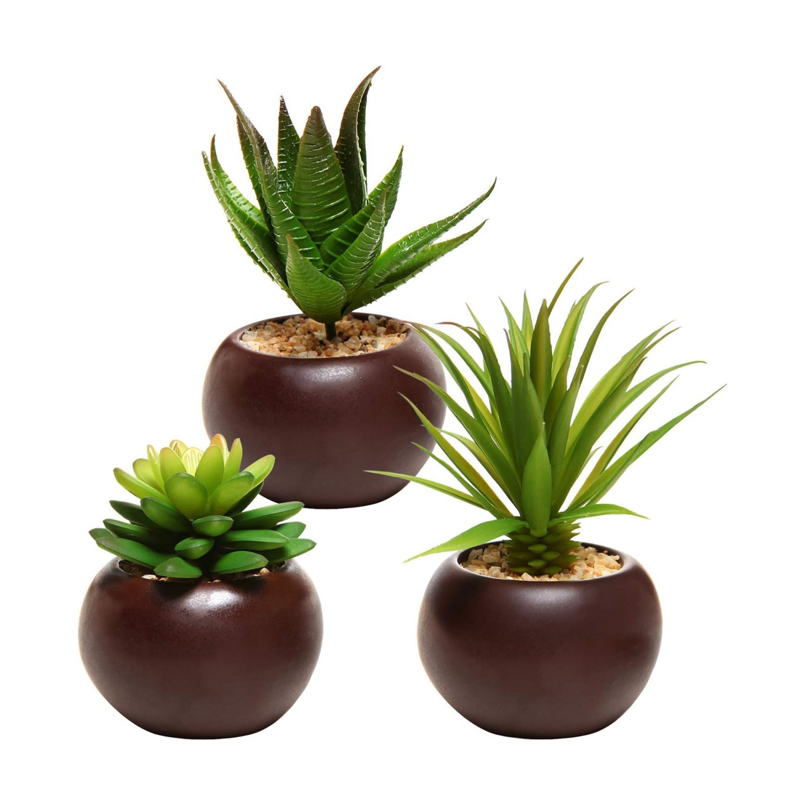 Succulents Plants Artificial / Brown / Set of 3