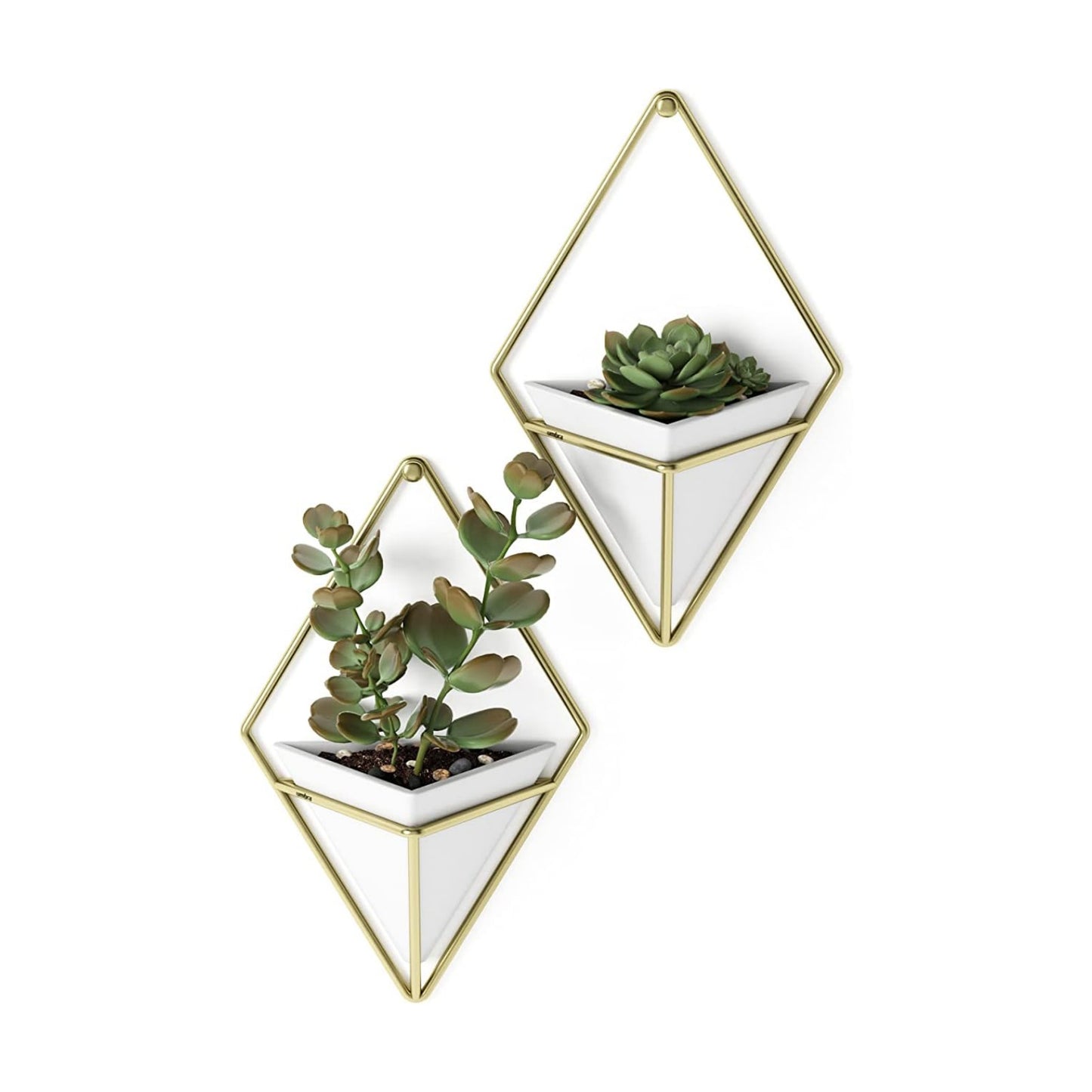 Faux Plants / Pots Containers for Succulents / White/brass / Small / Set of 2