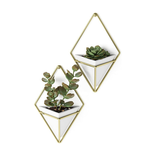Faux Plants / Pots Containers for Succulents / White/brass / Small / Set of 2