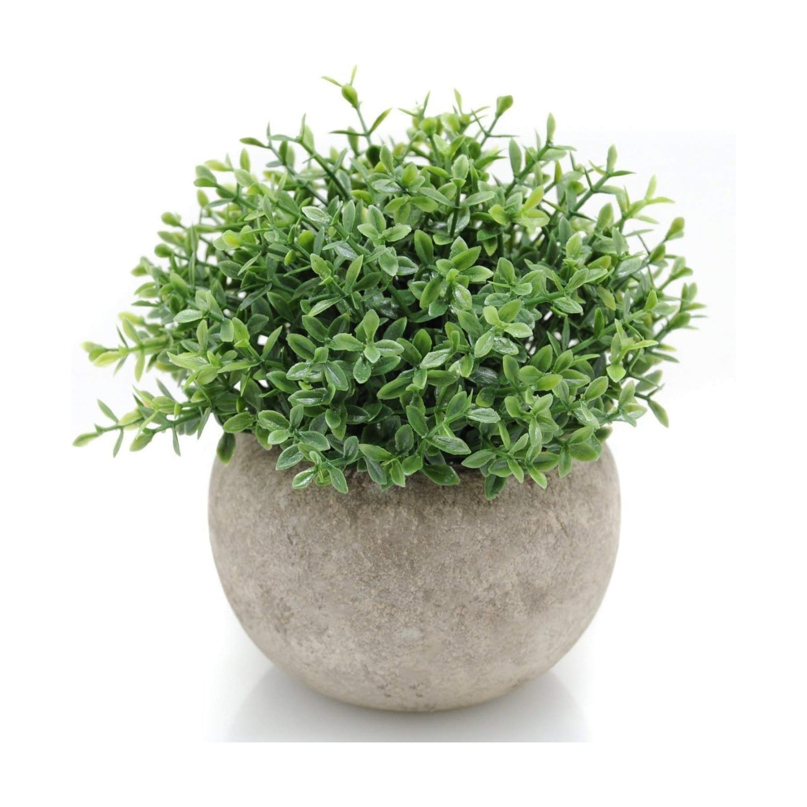 Farmhouse House Plant Office / Green