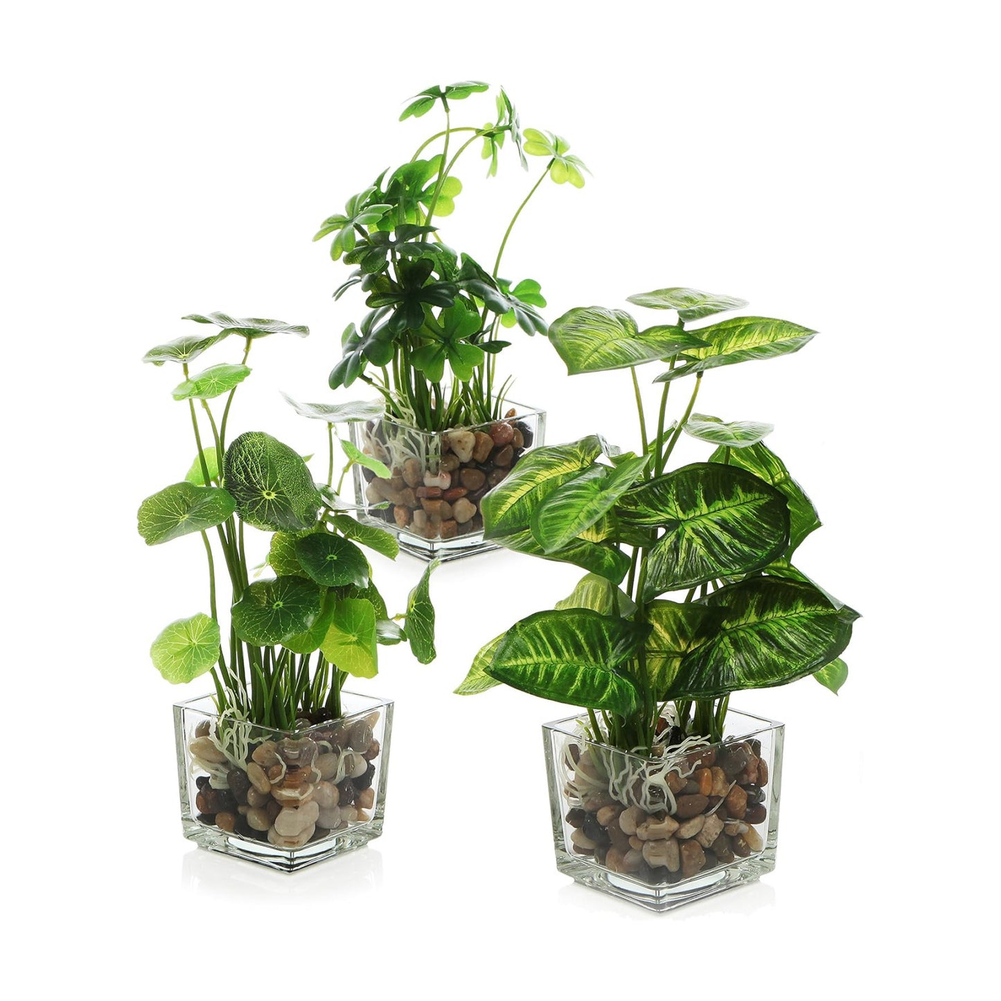 Faux Plant / Small Artificial Potted Plants Indoor in Glass Pot / Clear / 9.5 Inch / Set of 3