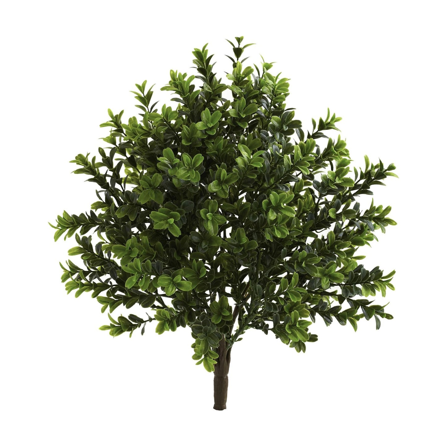 6113-S6 Sweet Grass Bush / Green / Set of 6