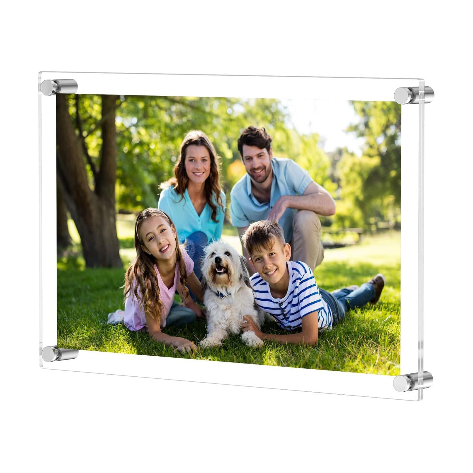 NIUBEE 12x16 and 11x17 Clear Acrylic Wall Mount Picture Frames | A3 Size,Full Frame is 14.5x18.5 inch, Floating